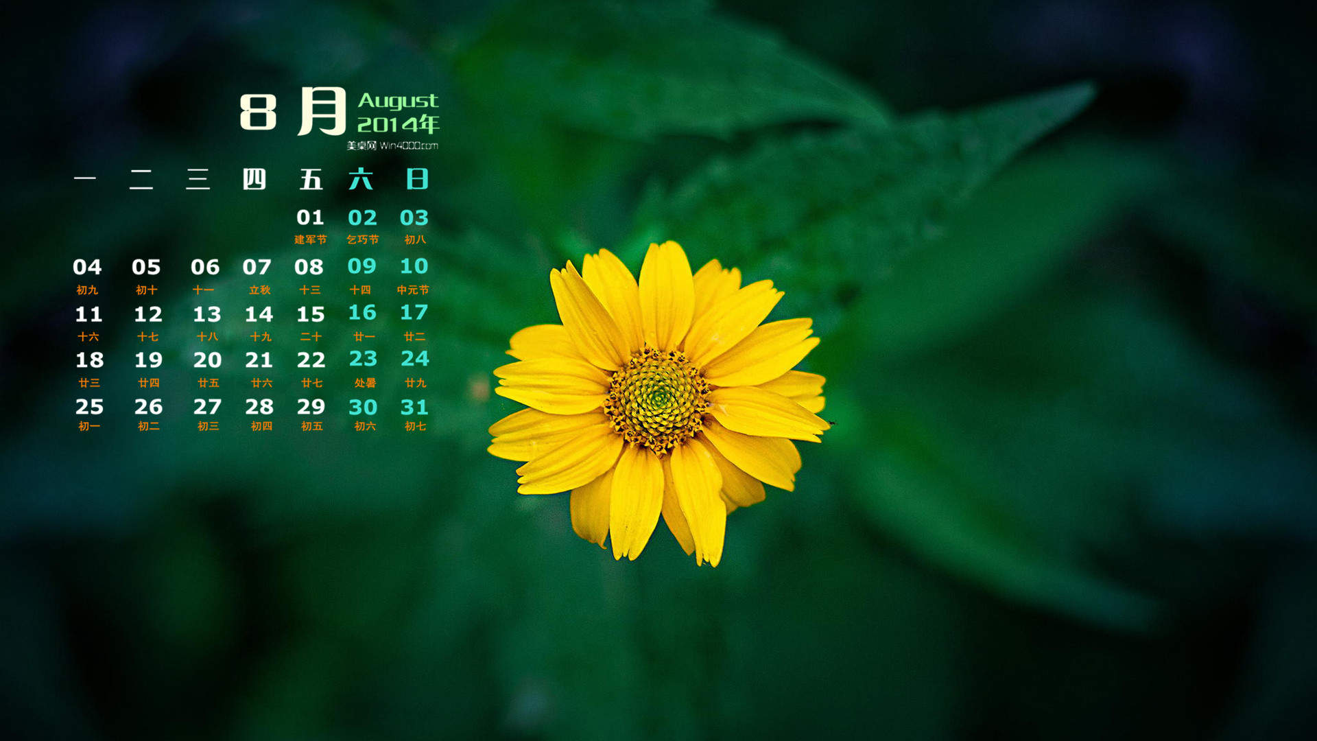 2014年8月日历图片