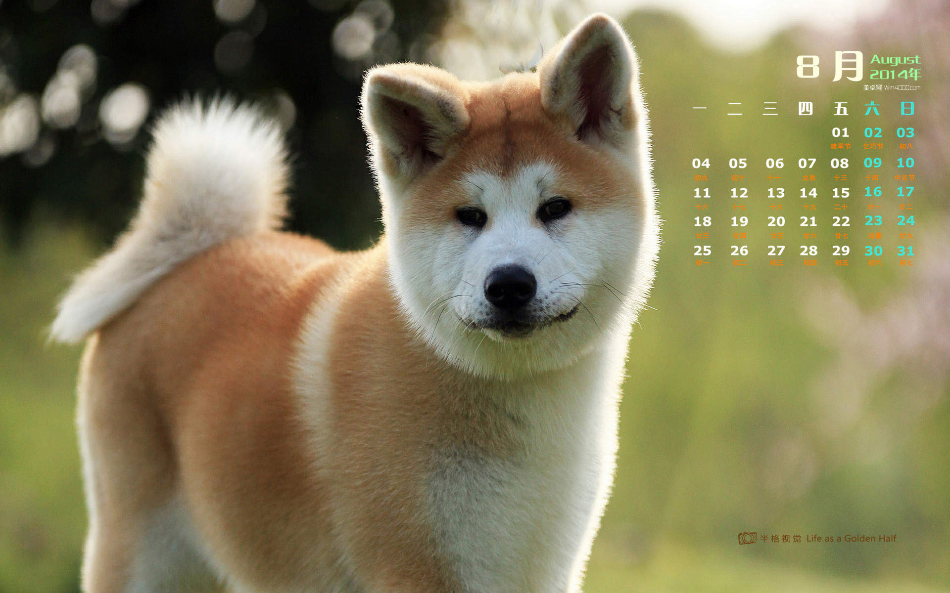 2014年8月日历图片