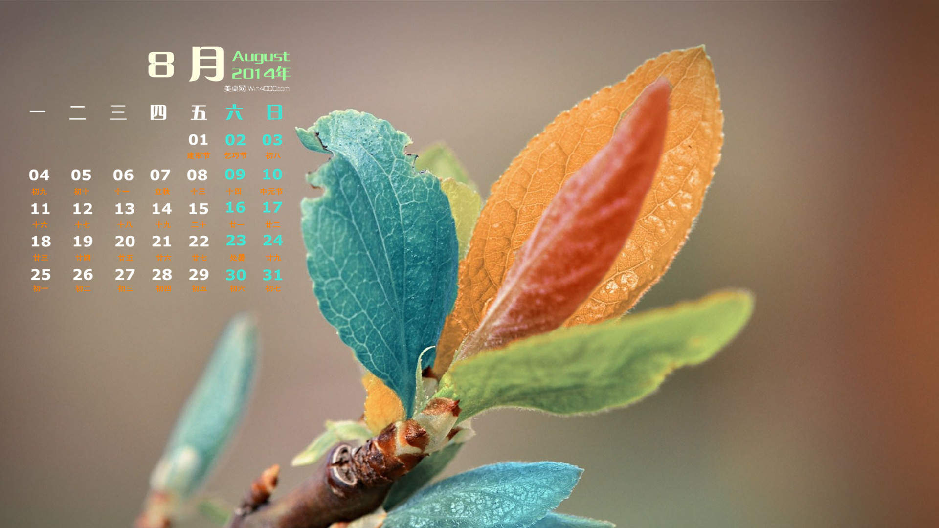 2014年8月日历图片