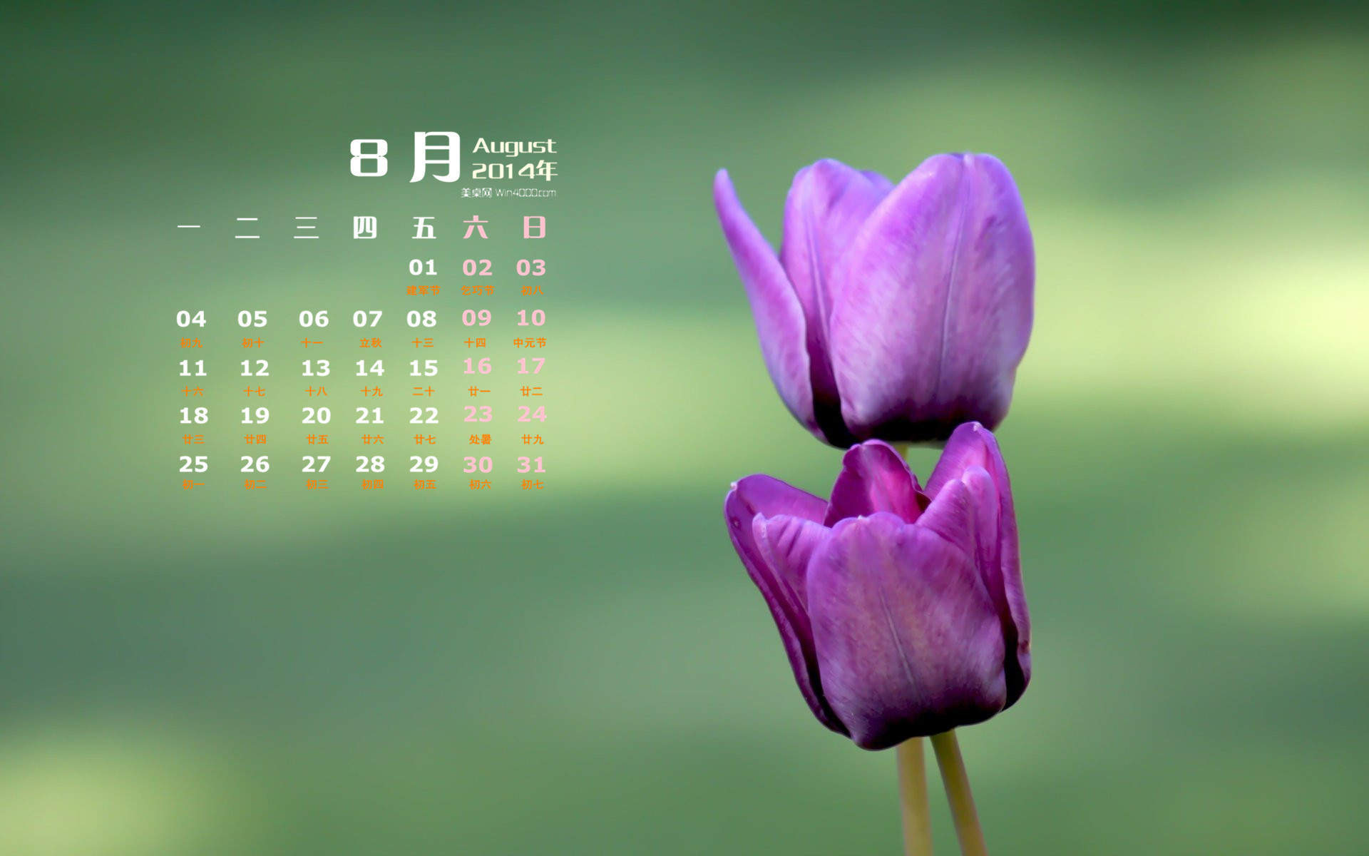 2014年8月日历图片