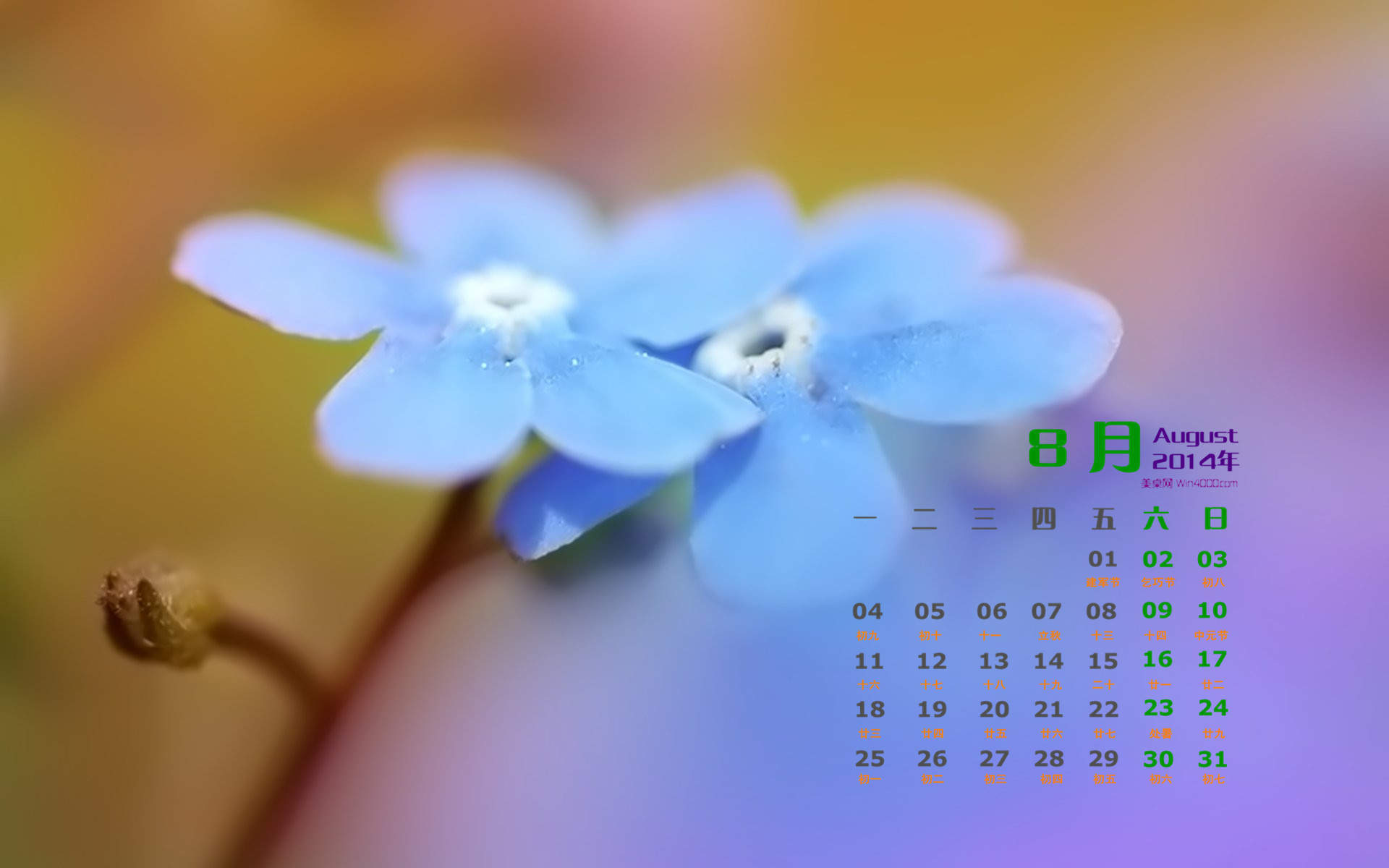 2014年8月日历壁纸性感女星詹妮弗安妮斯顿简约时尚写真图片