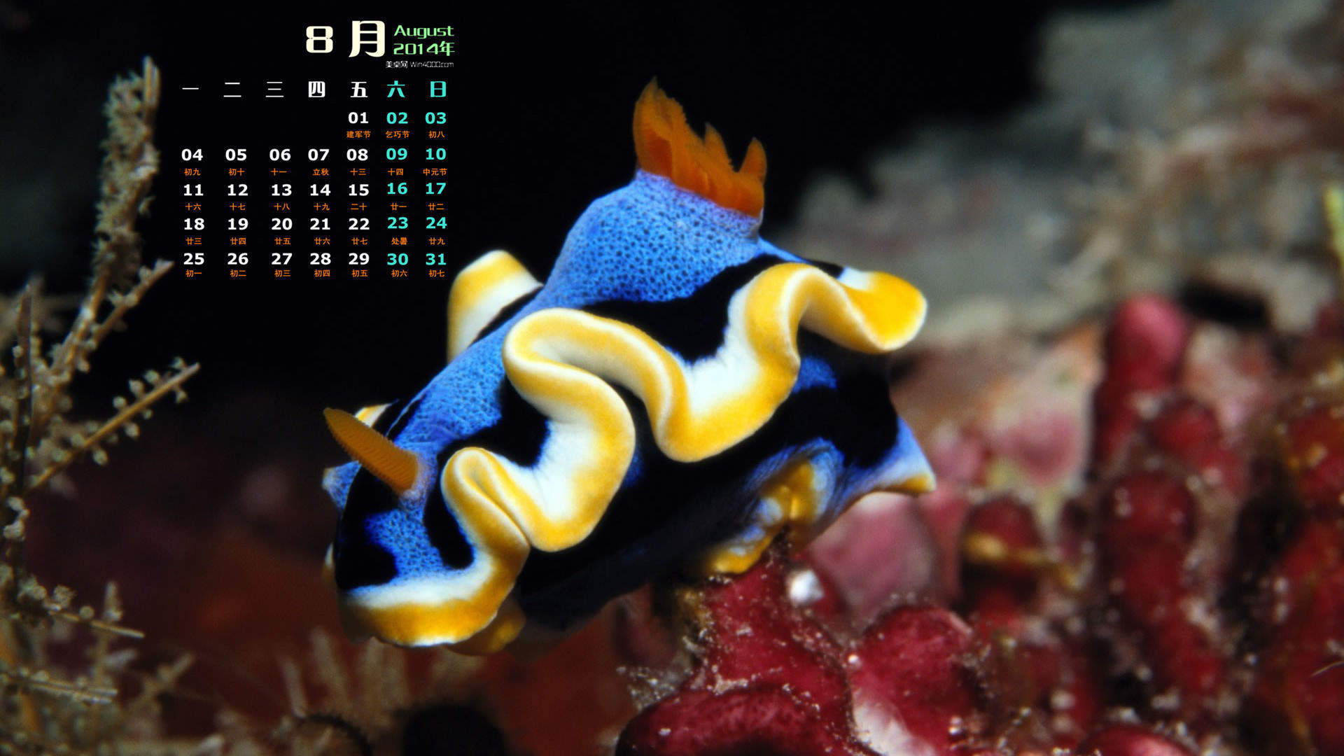 2014年8月日历图片