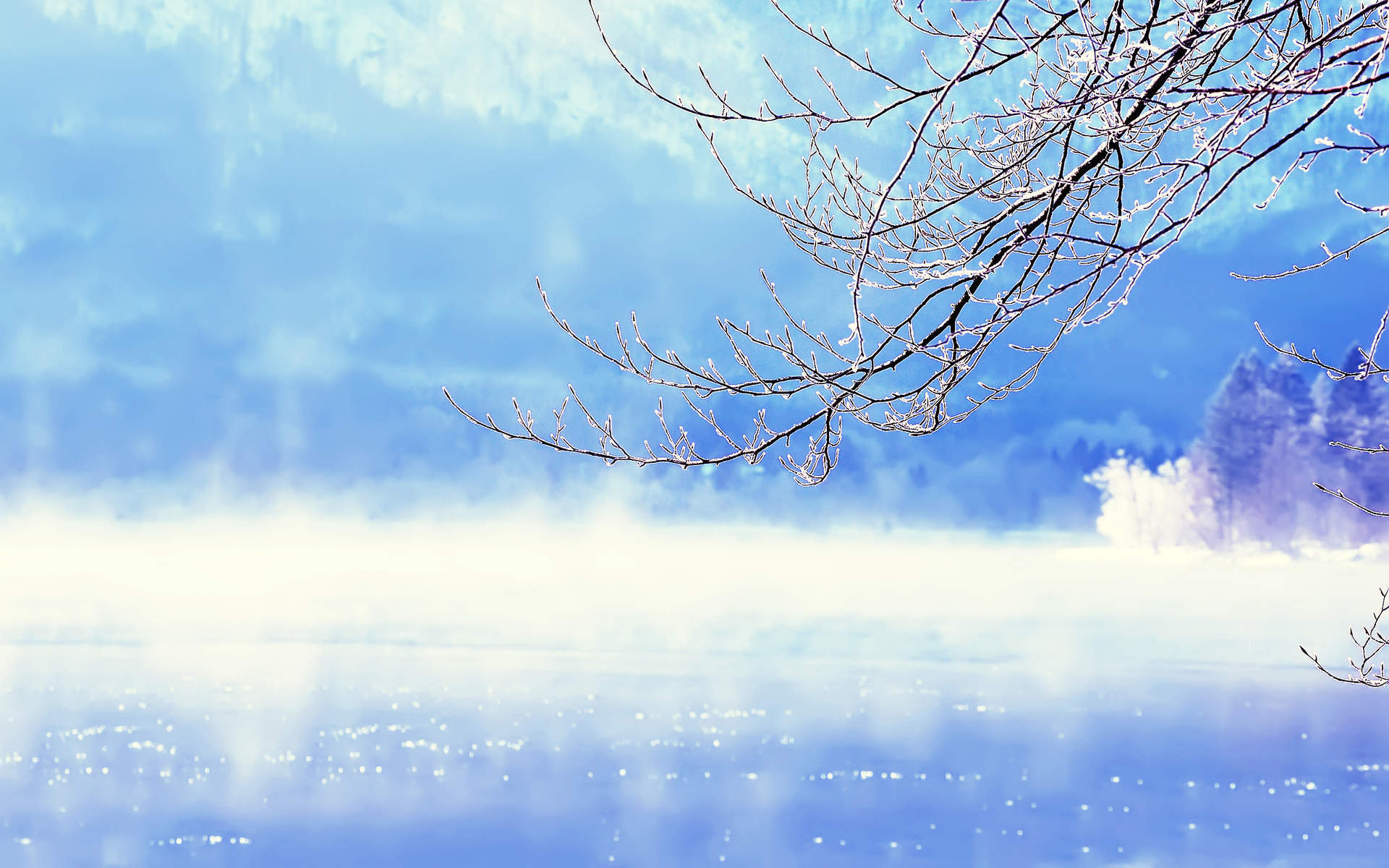 下雪图片