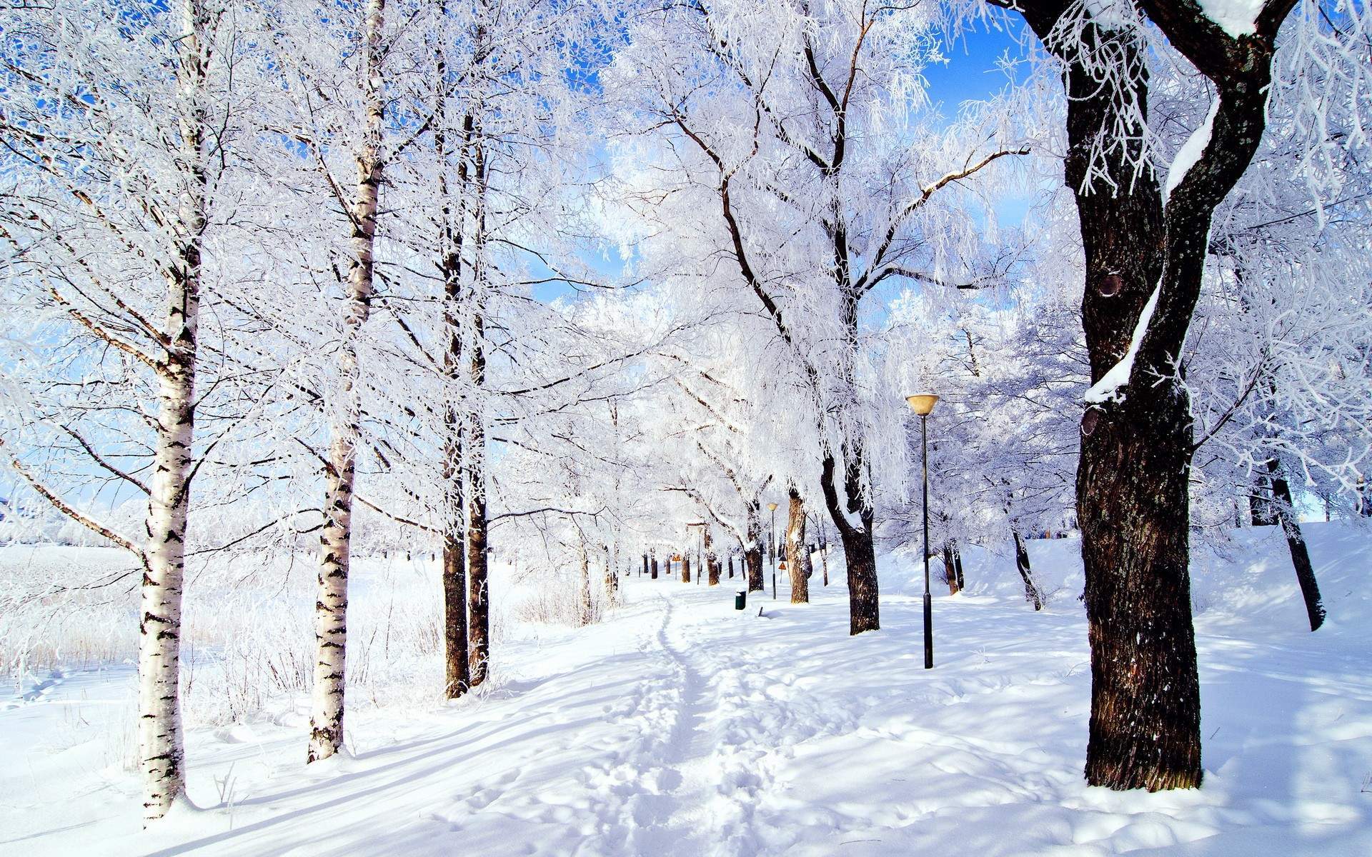 下雪图片