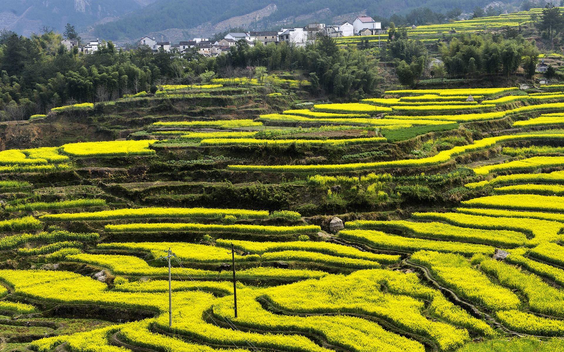 田园风光图片