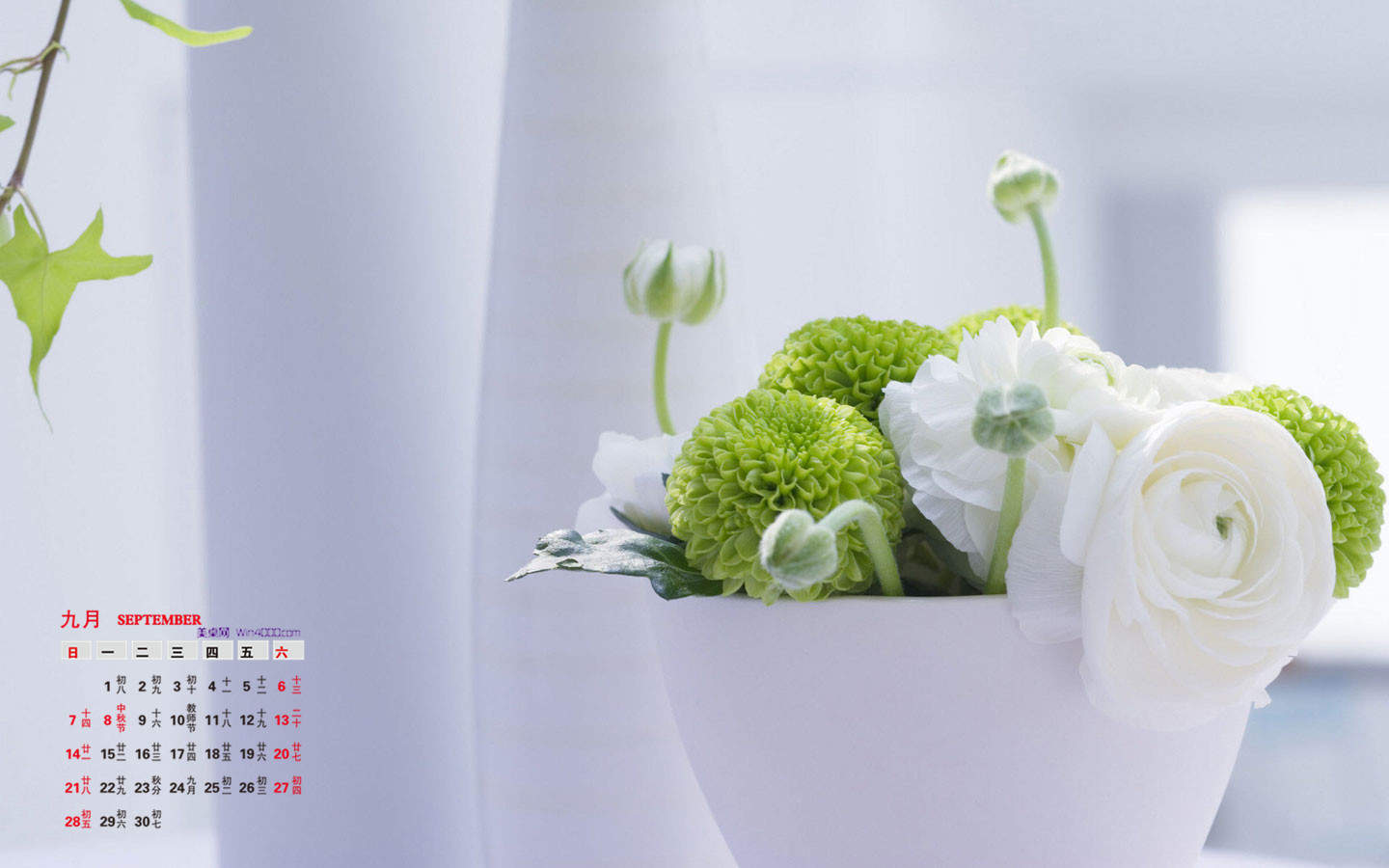极简小清新素雅花朵花瓶盆栽唯美意境桌面壁纸第三辑图片