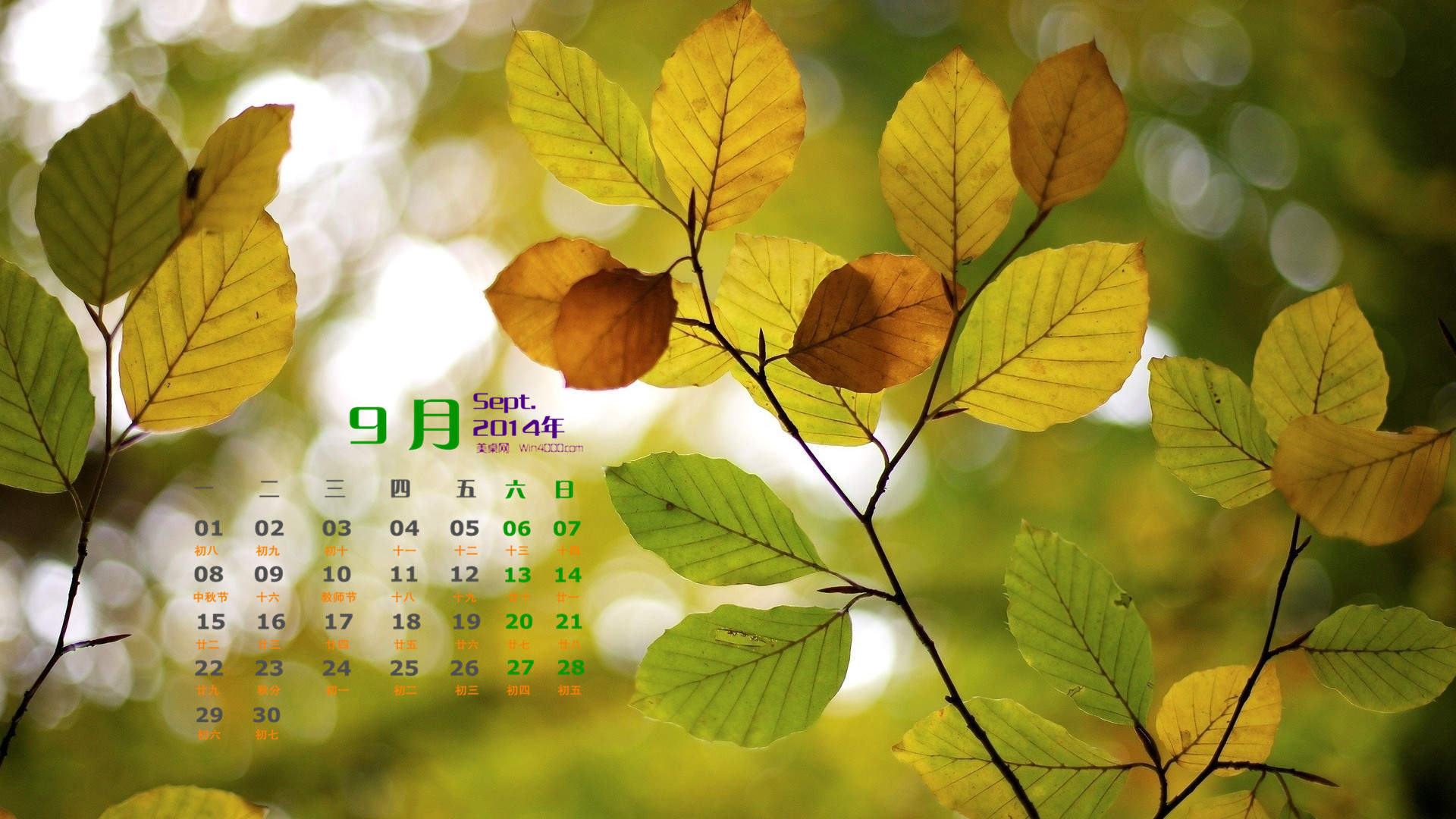 2014年9月日历壁纸微距树叶唯美摄影图片合集第一辑图片
