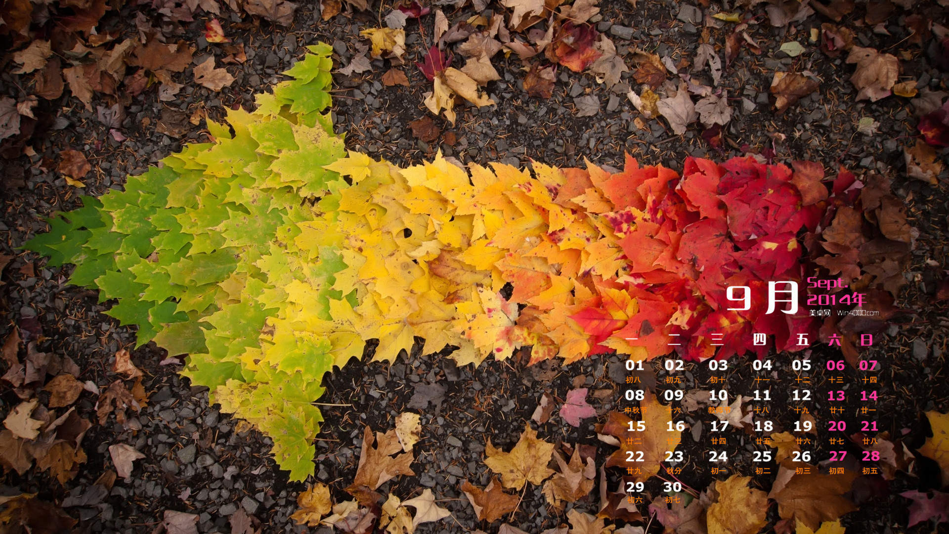 2014年9月日历壁纸微距树叶唯美摄影图片合集第一辑图片