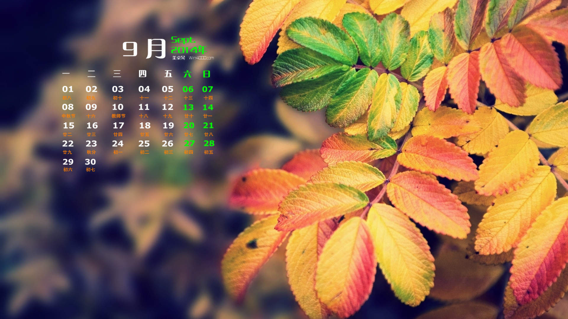 2014年9月日历壁纸微距树叶唯美摄影图片合集第二辑图片