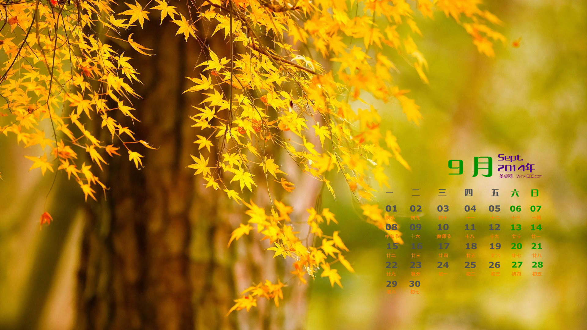 2014年9月日历壁纸微距树叶唯美摄影图片合集第一辑图片