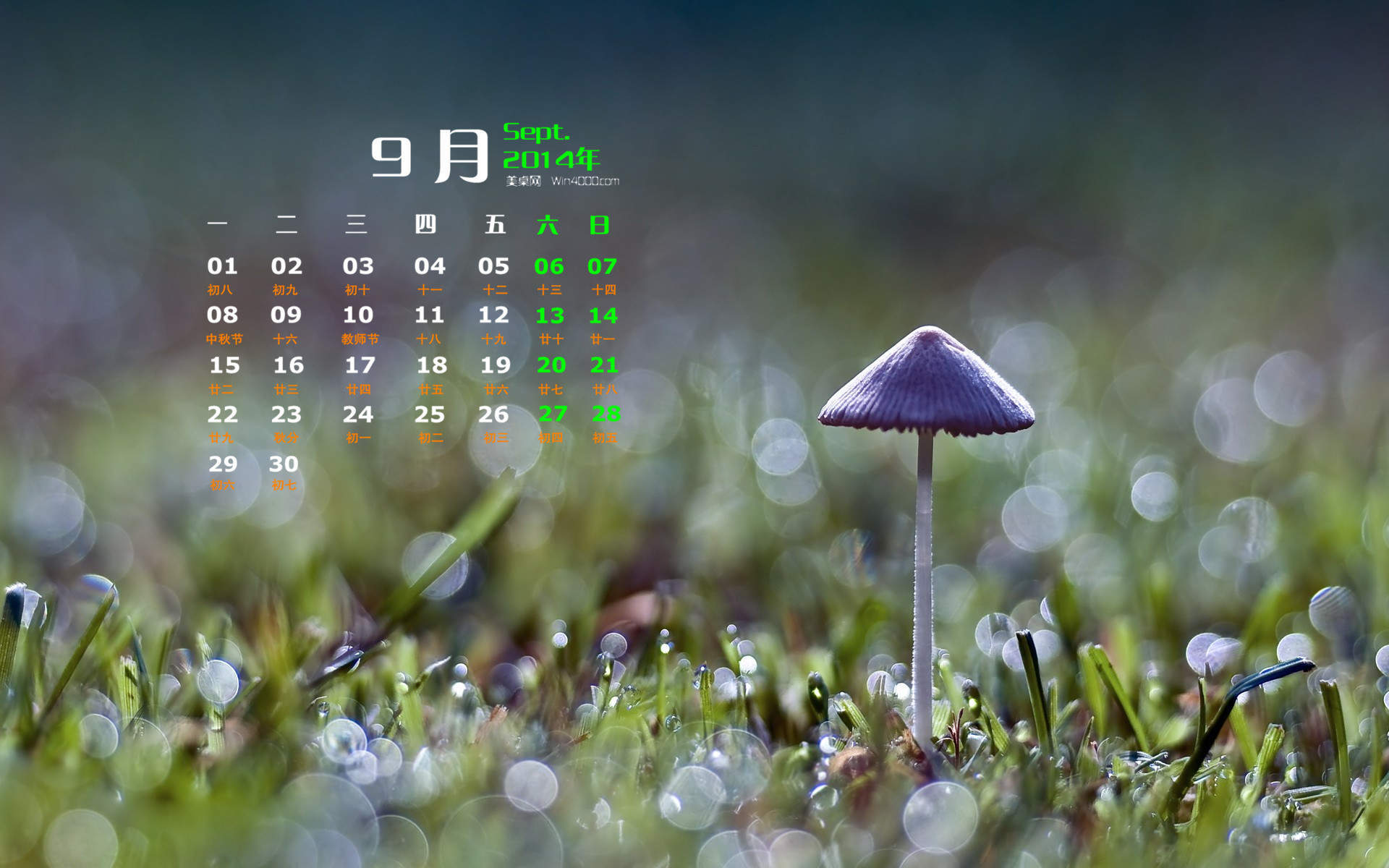2014年11月日历壁纸唯美好看的大自然森林公园风景图片(一)图片