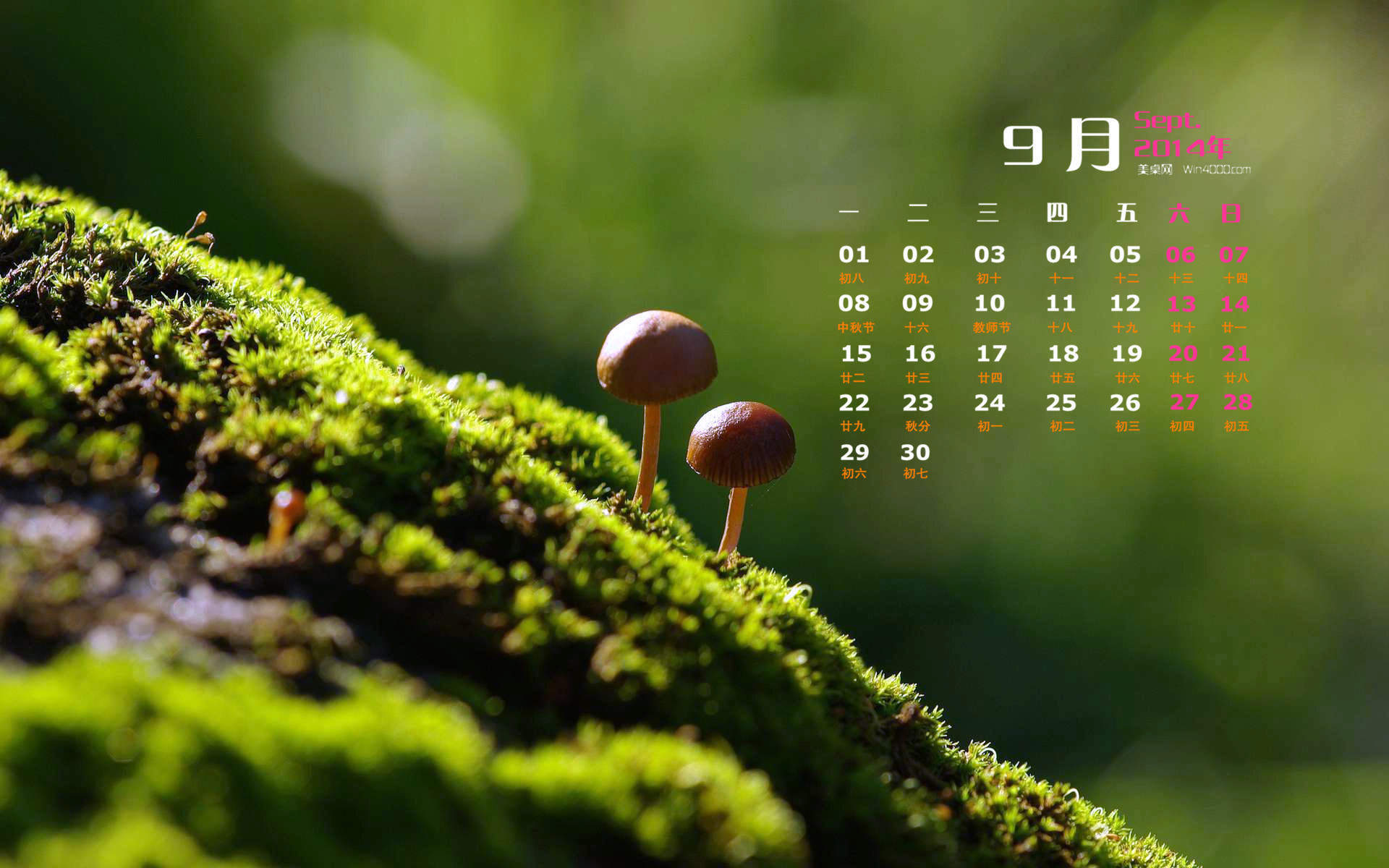 2014年11月日历壁纸唯美好看的大自然森林公园风景图片(一)图片