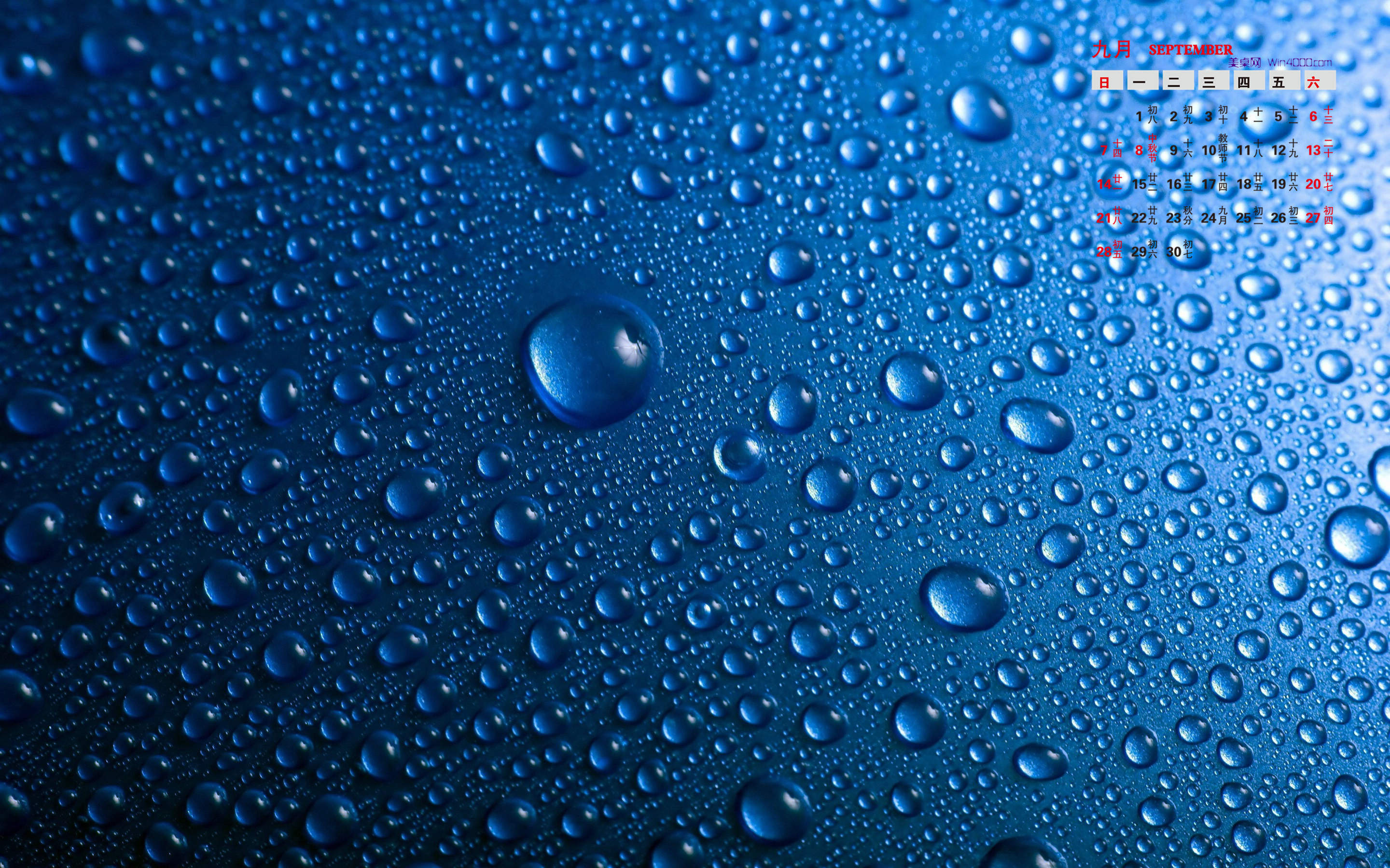 高清雨水清新护眼绿色水滴露珠高清桌面壁纸图片