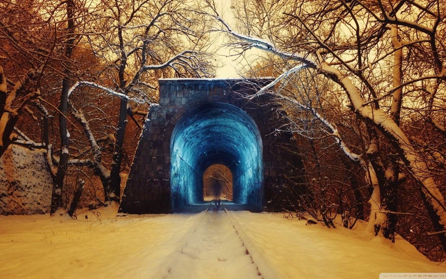 秋天唯美枫叶大自然风景手机壁纸图片