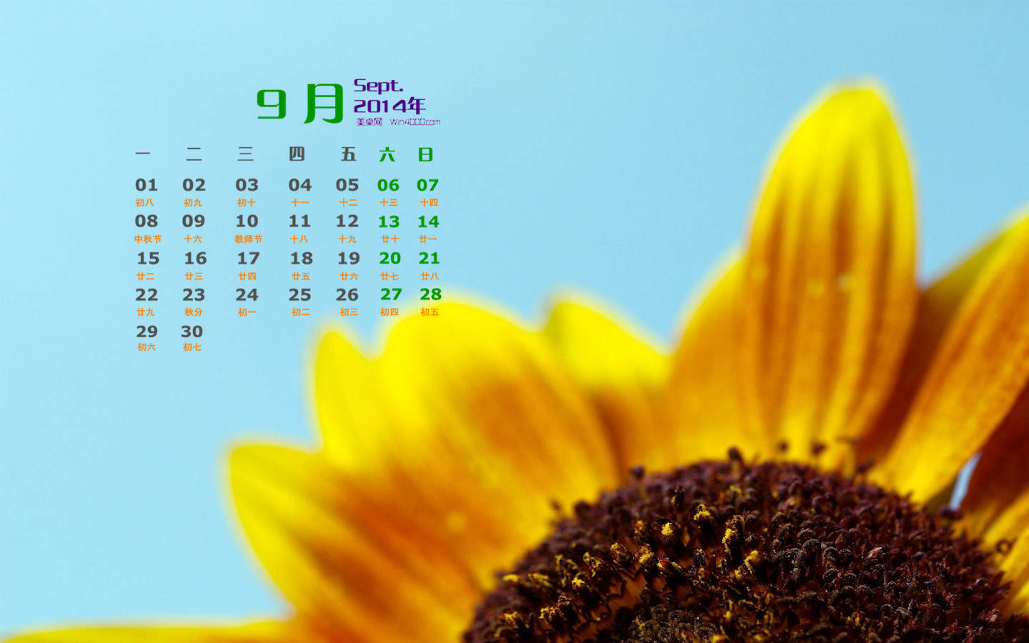 向日葵图片