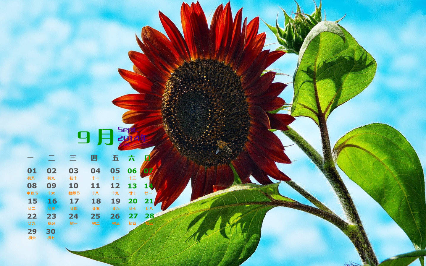 2014年9月日历壁纸秋季唯美意境向日葵田园风风光(二)图片