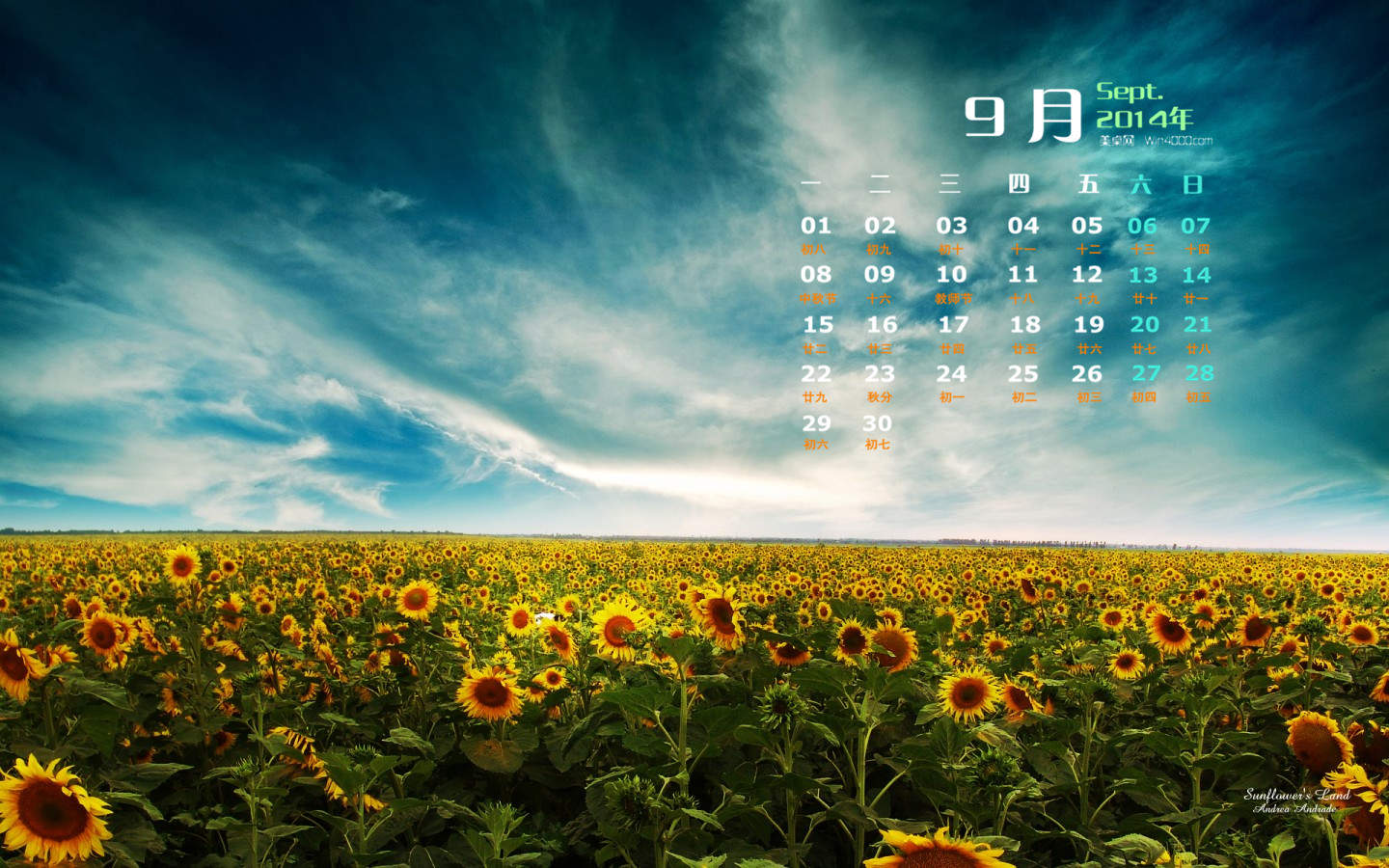 2014年9月日历壁纸秋季唯美意境向日葵田园风风光(二)图片