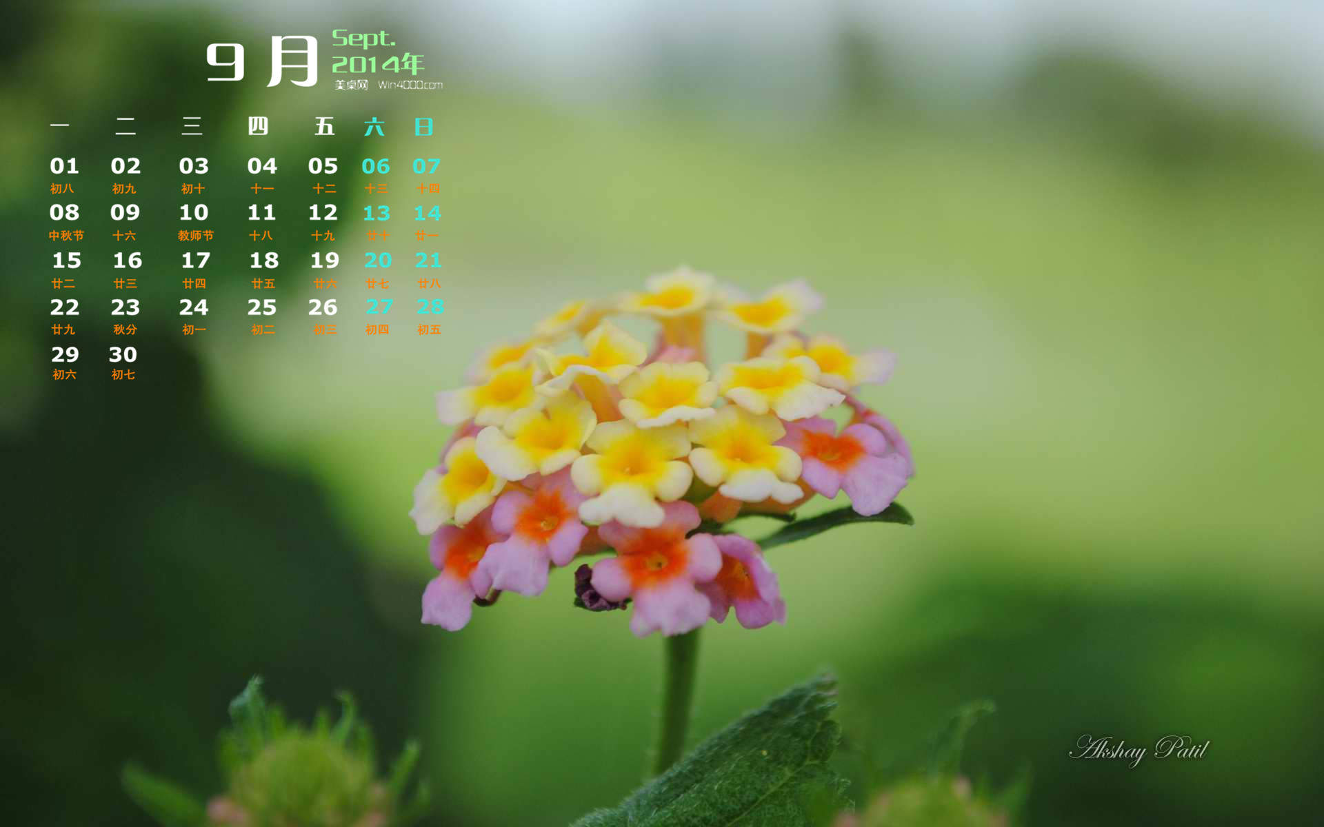 精选小清新的后花园手机高清壁纸下载图片