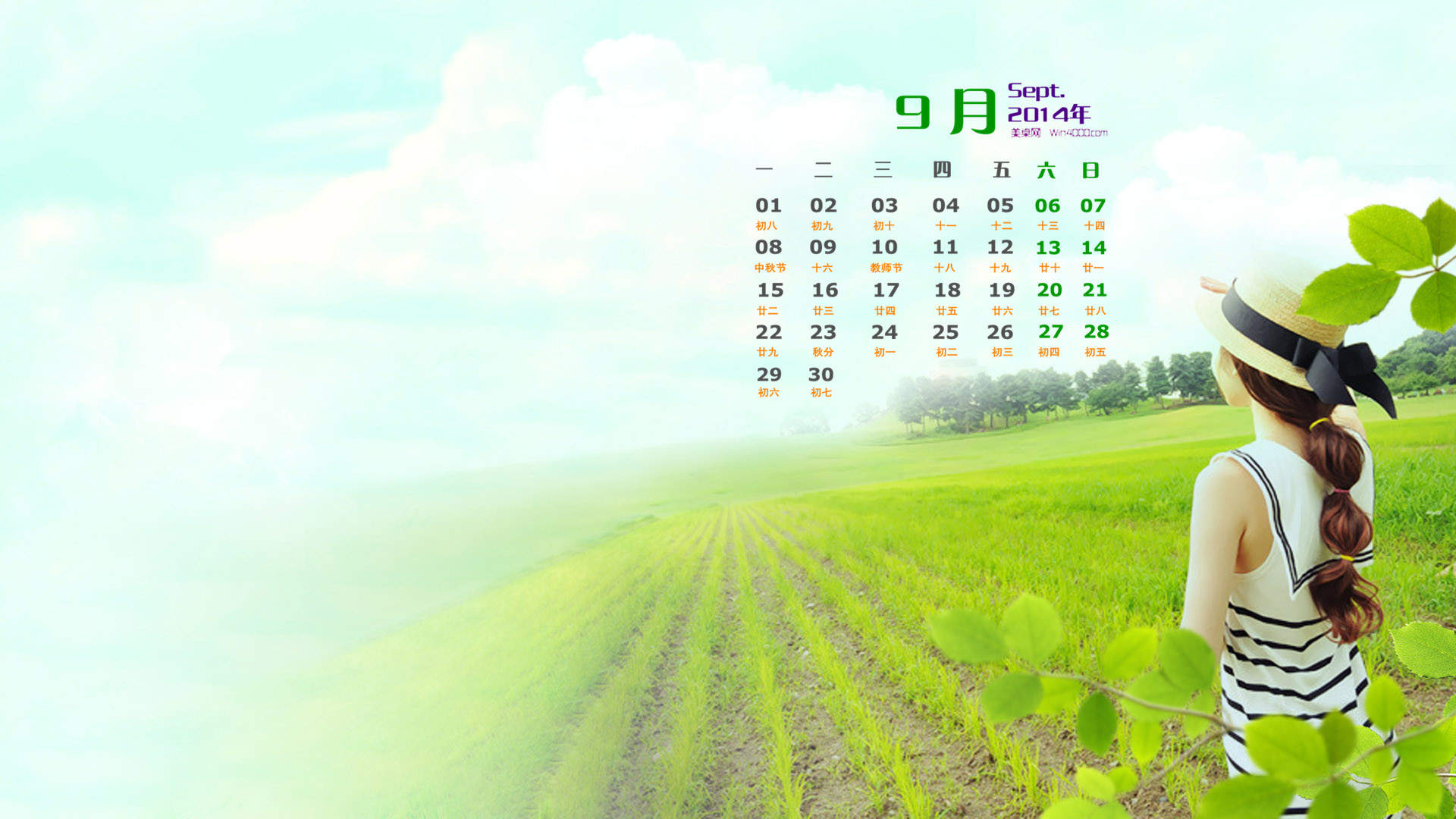 高清唯美清新绿色草地图片手机壁纸图片