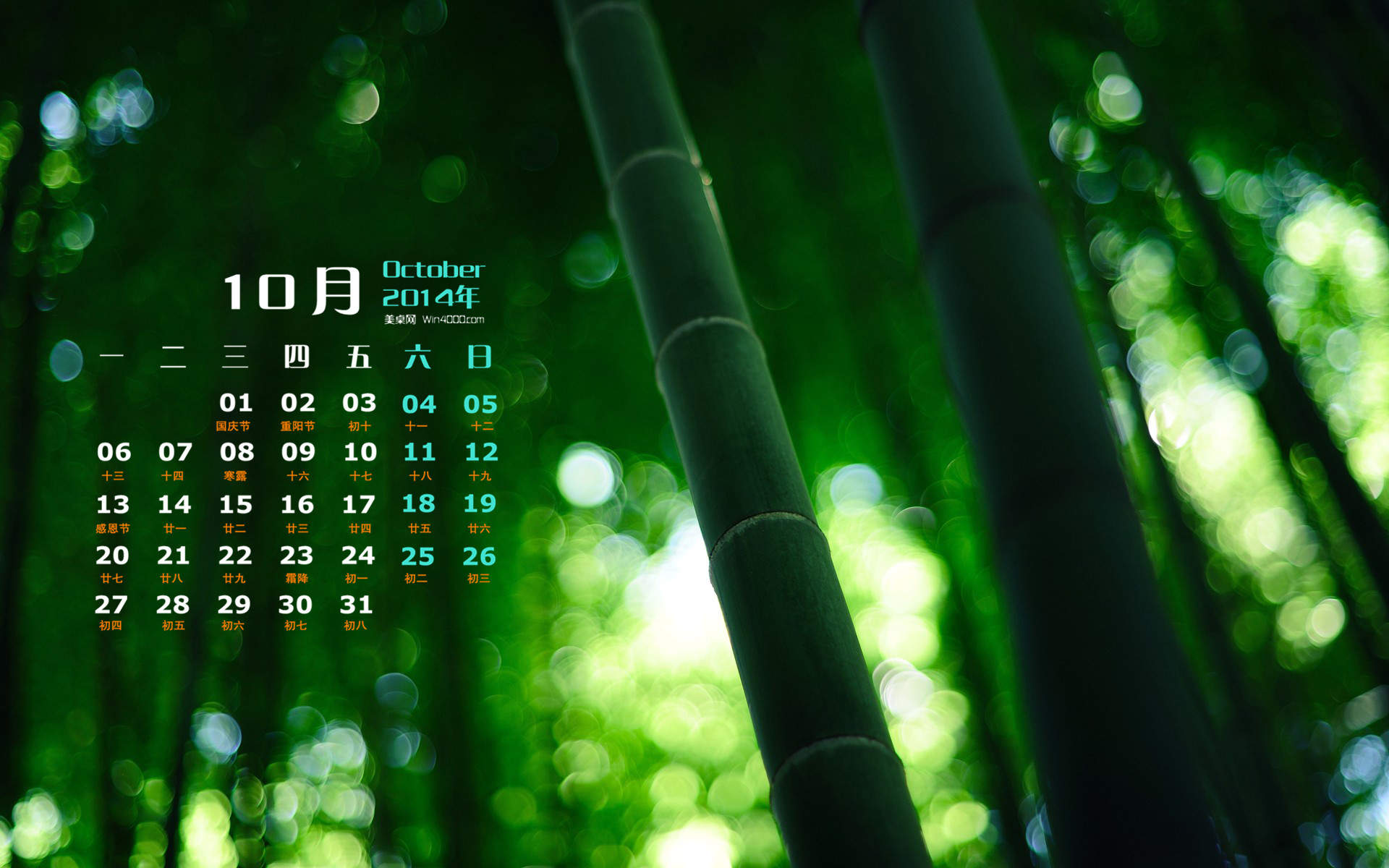 每日心语唯美治愈系文字语录绿色植物护眼壁纸高清下载图片