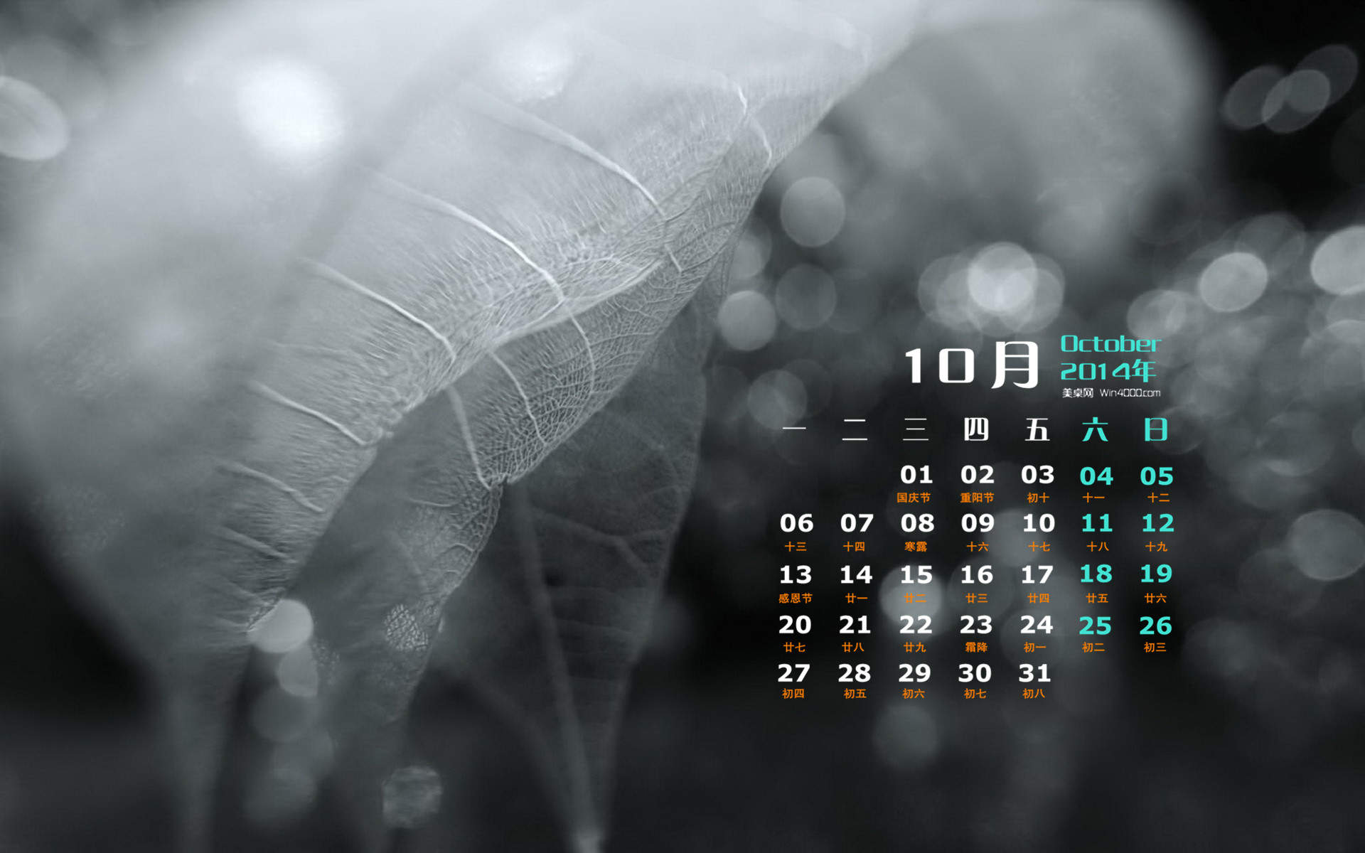 精美的26个字母姓氏创意个性图片高清手机壁纸（1）图片