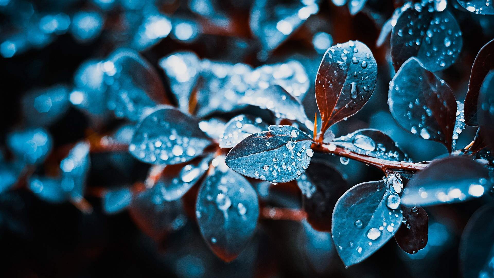 美丽风景图片图片