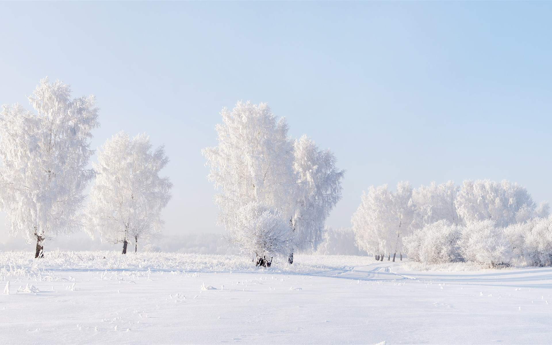 下雪图片