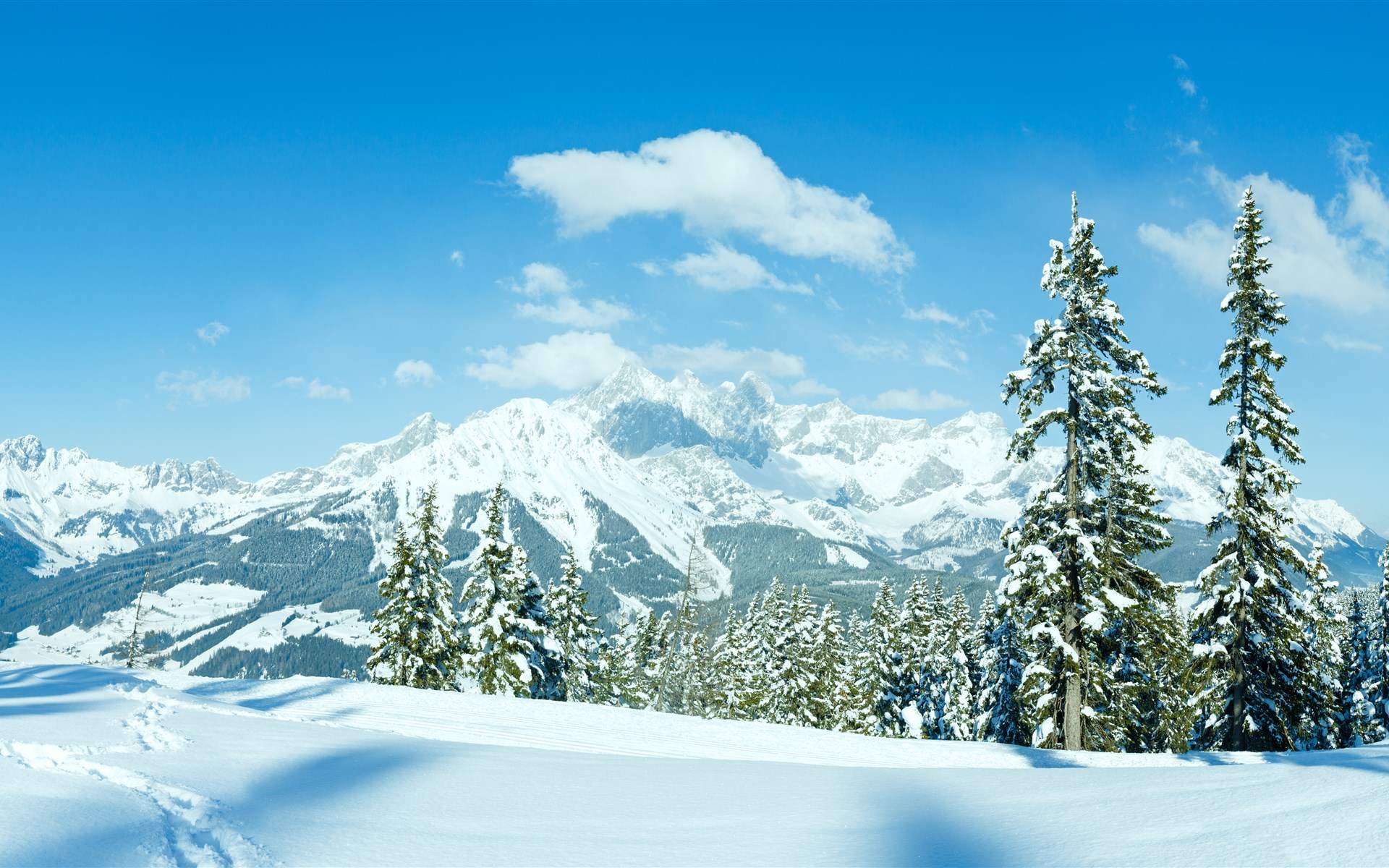 下雪图片