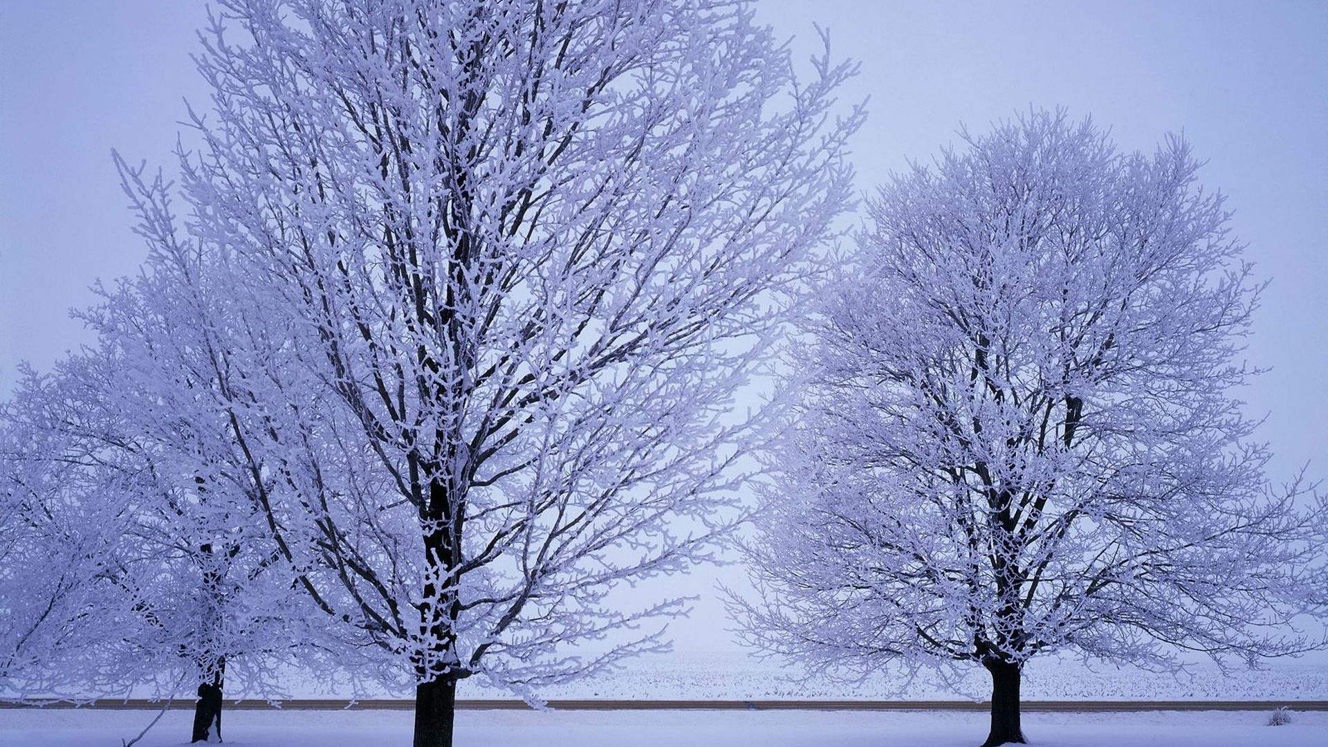 下雪图片