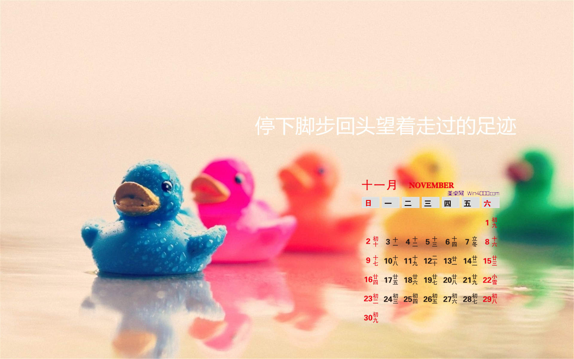 治愈系图片图片
