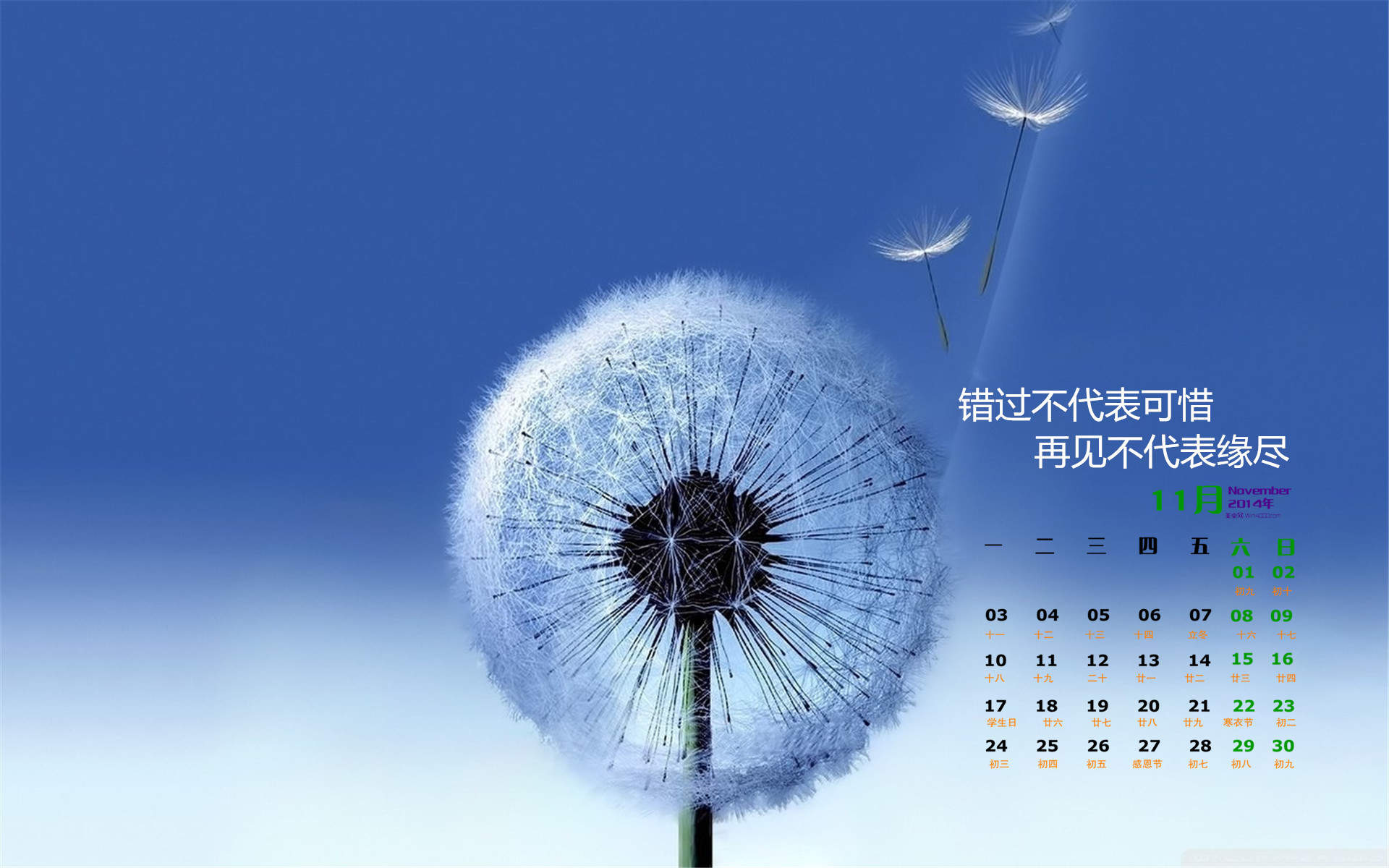 治愈系图片图片