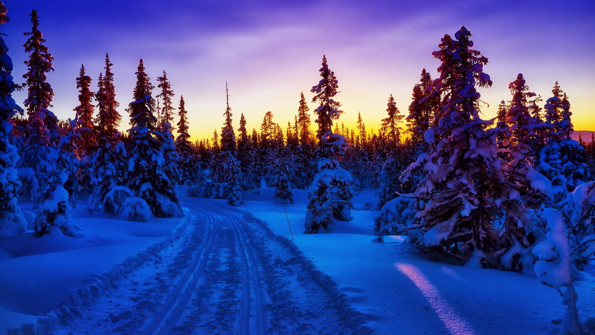 下雪图片