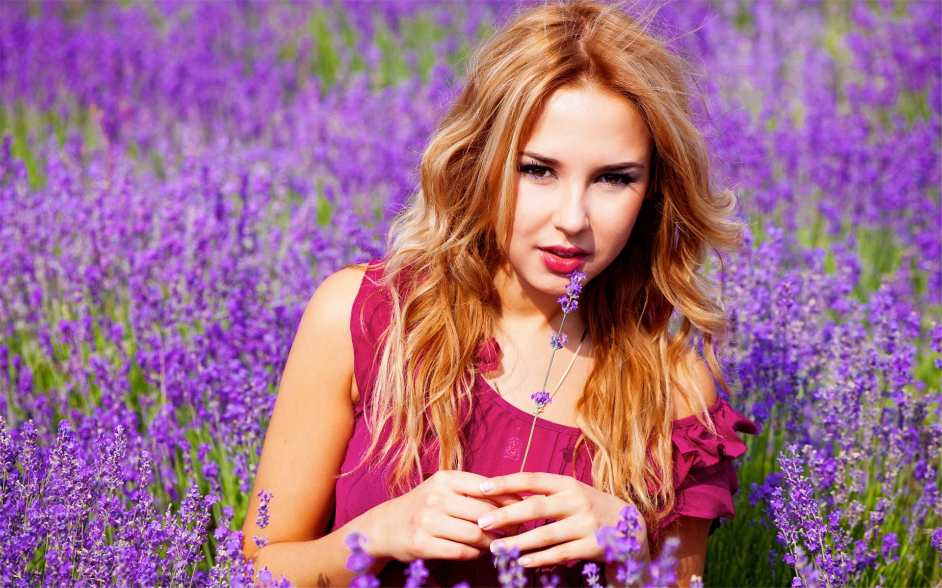 绿色草地图片