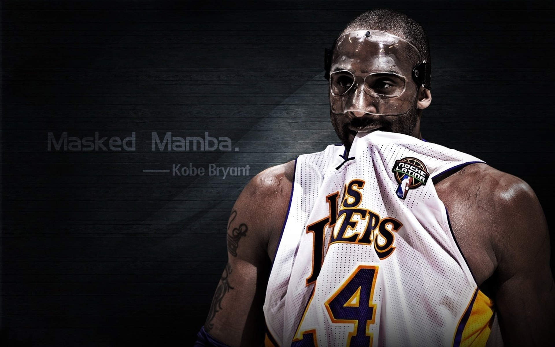 火热赛事NBA球员高清电脑桌面主题壁纸(七)图片