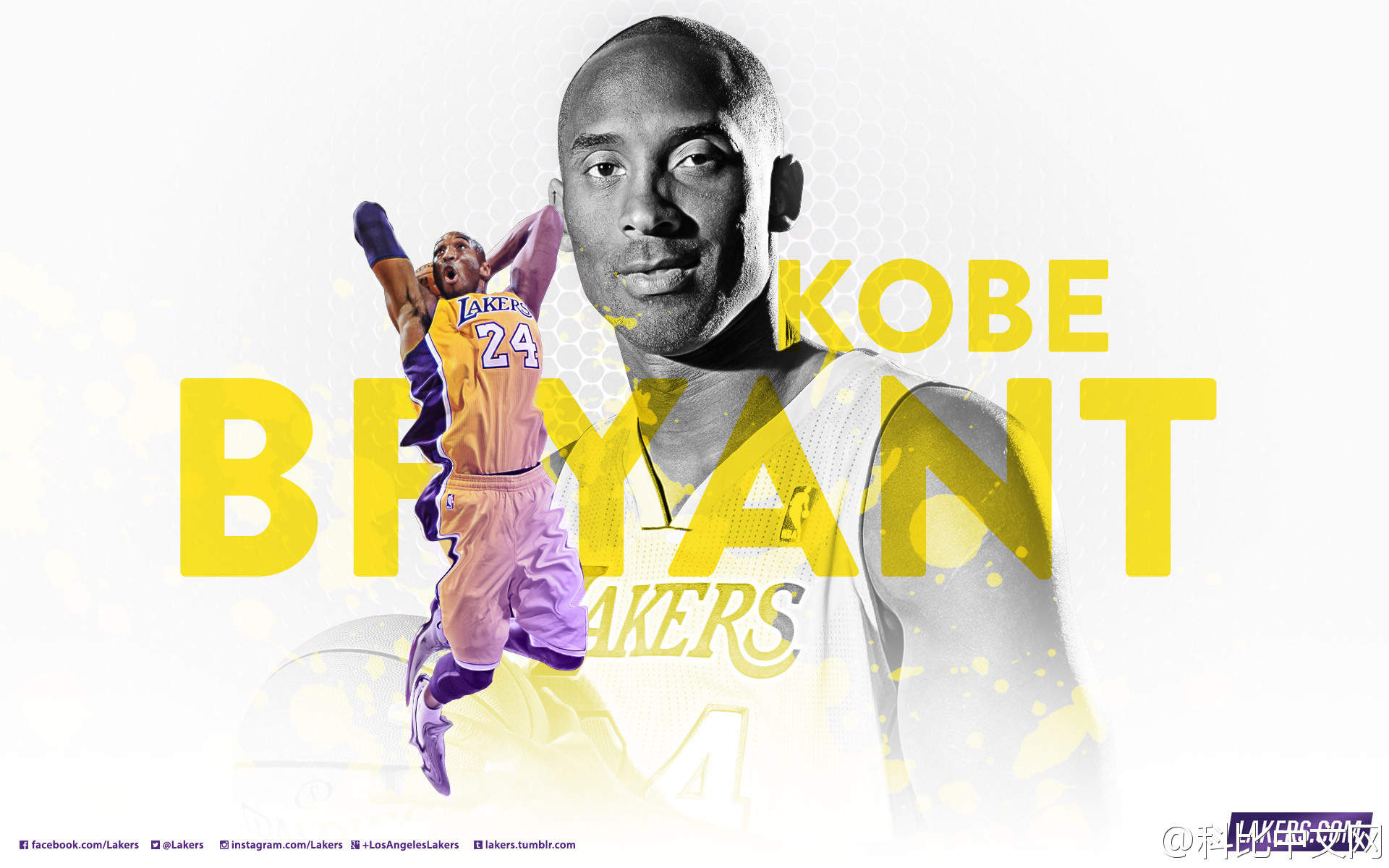 火热赛事NBA球员高清电脑桌面主题壁纸(七)图片