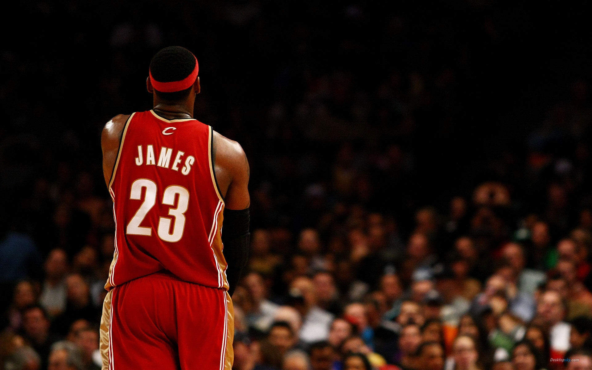 火热赛事NBA球员高清电脑桌面主题壁纸(七)图片