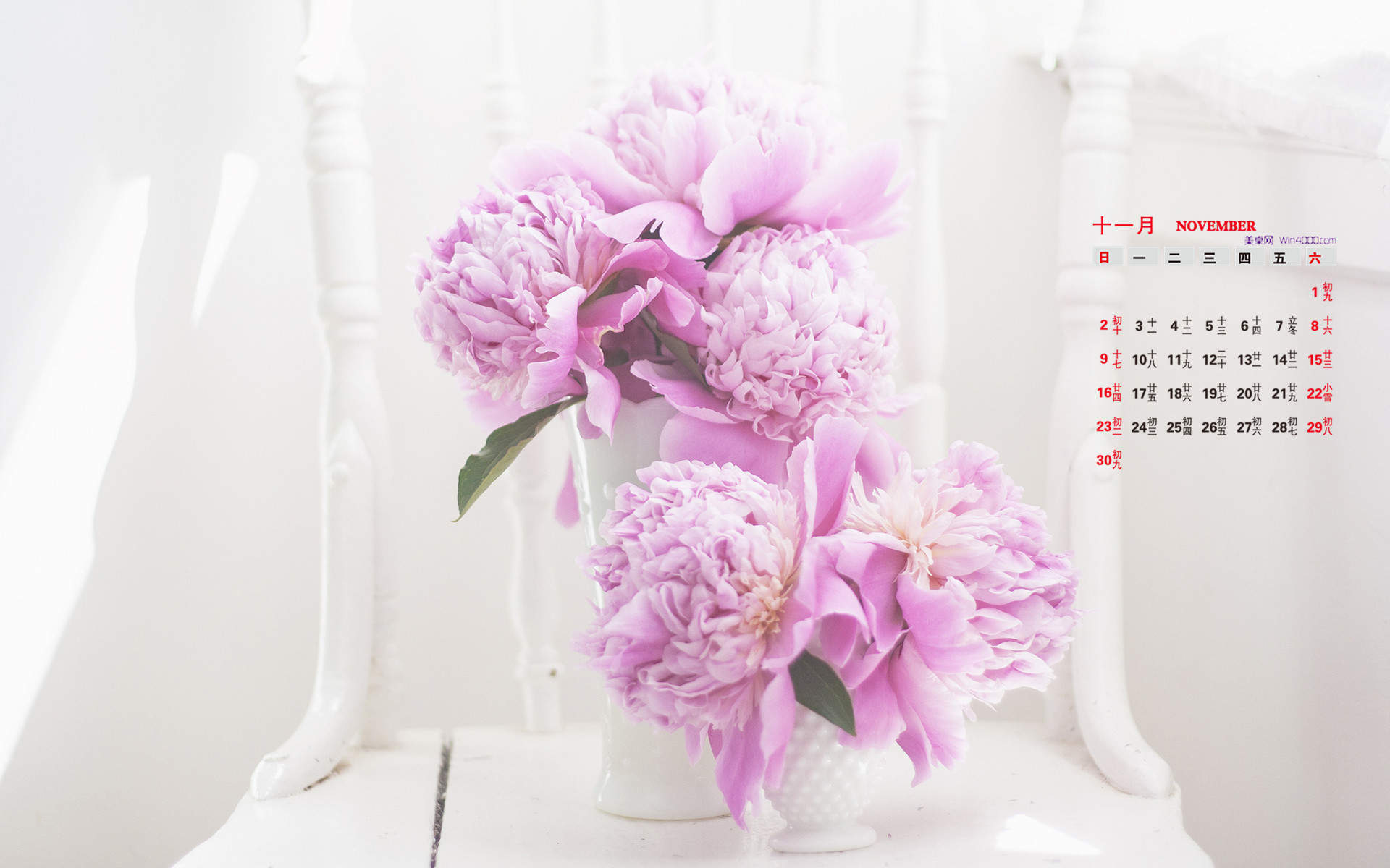 2016年7月日历唯美盆栽植物壁纸图片