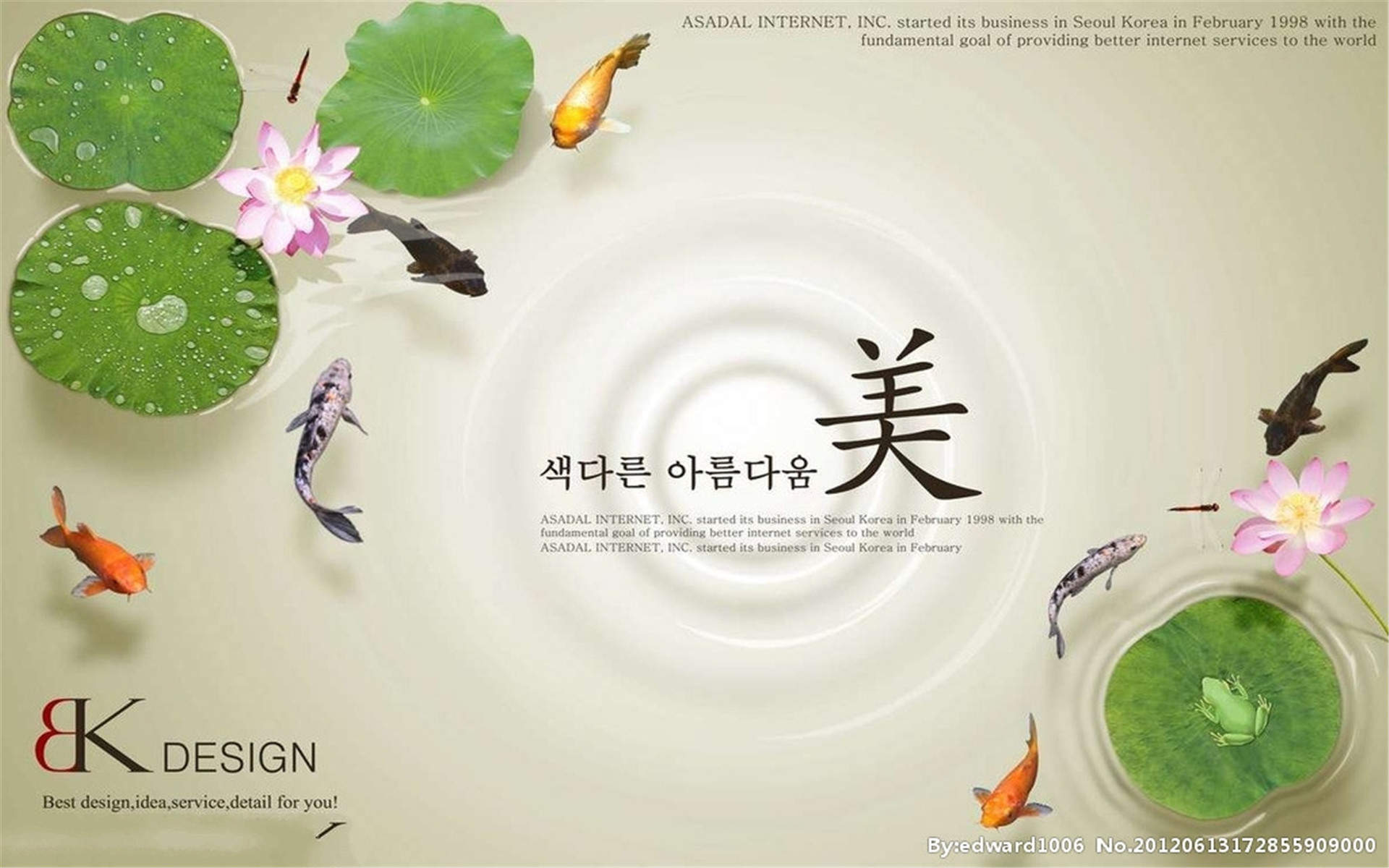 荷花图片图片