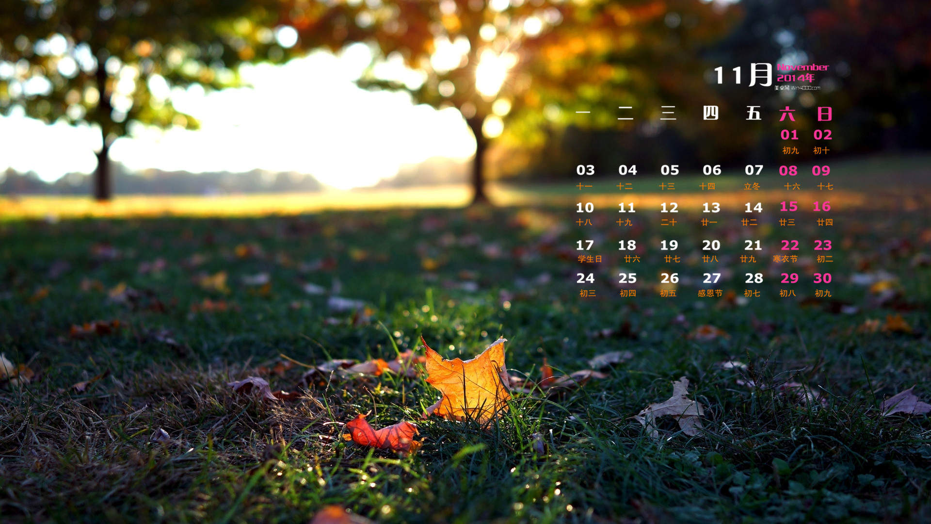 2014年10月日历壁纸唯美意境小清新初秋森林自然风光(三)图片