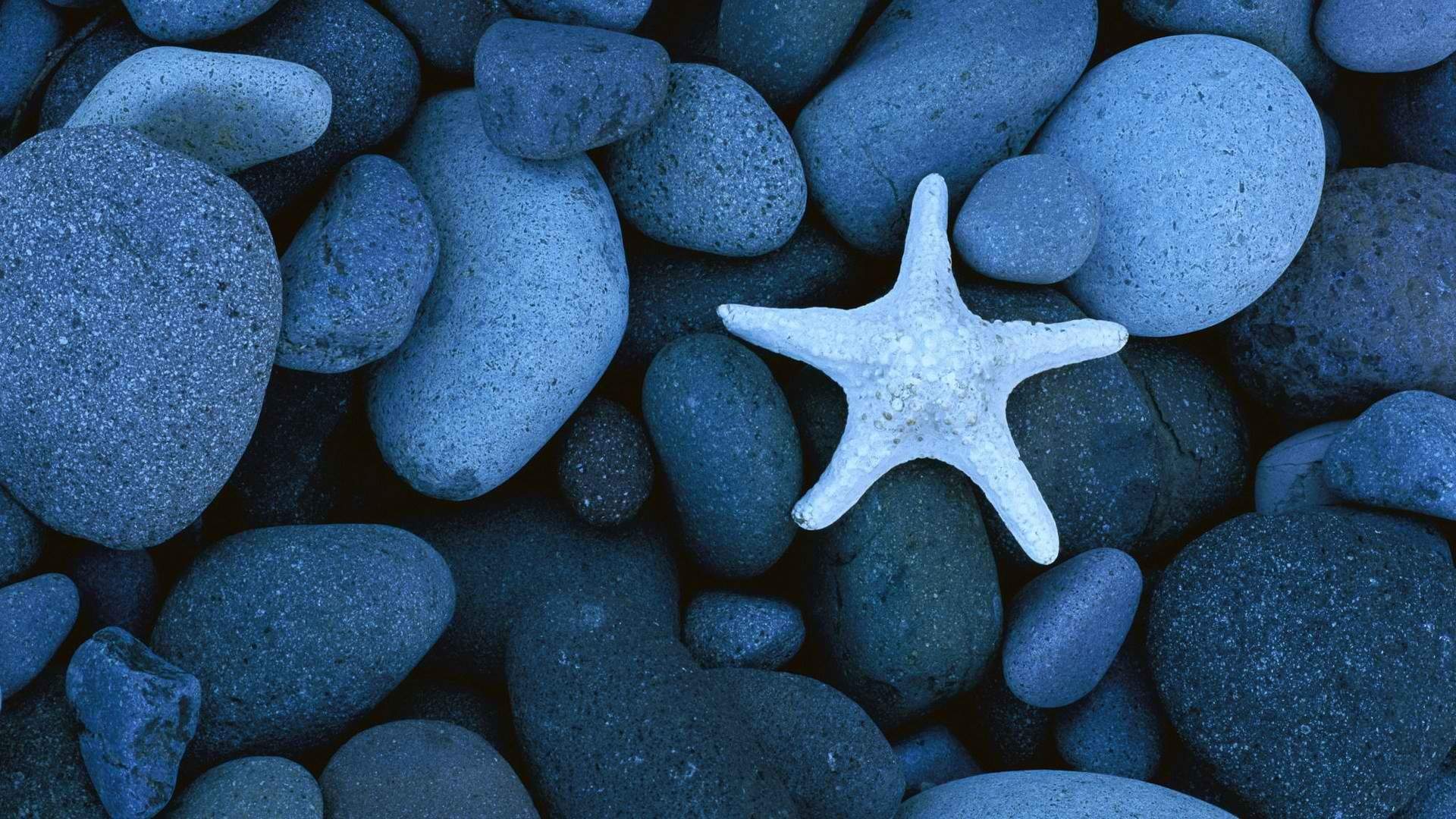高清热带海底世界高清壁纸第二辑图片