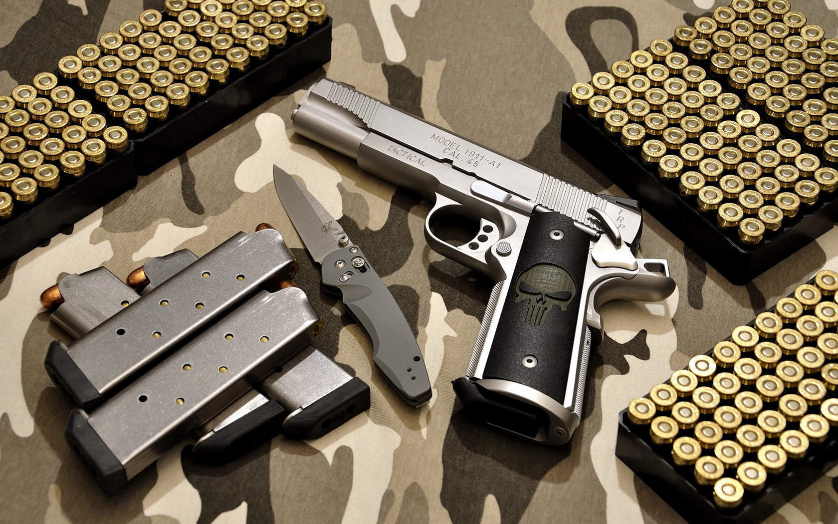 战双帕尼什武器类型图片图片