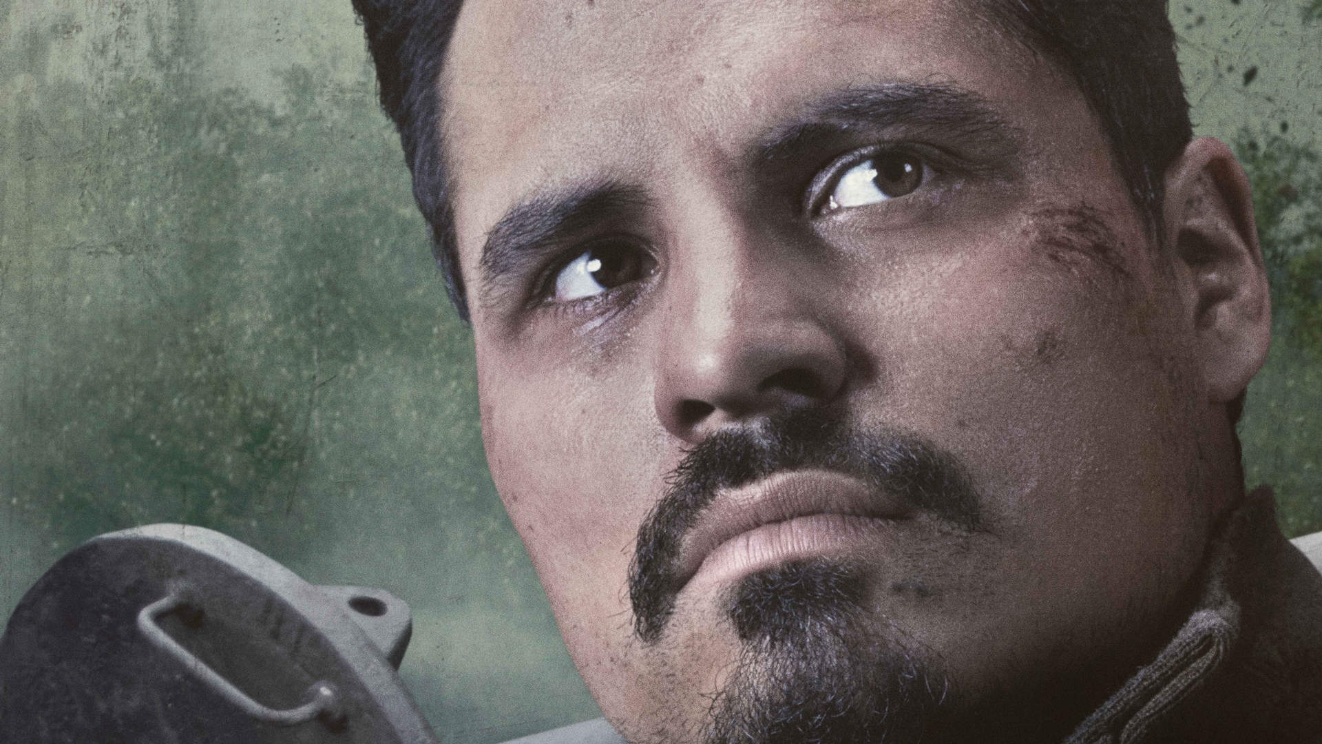 欧美电影《丛林之王》动画图片高清桌面壁纸第三辑图片