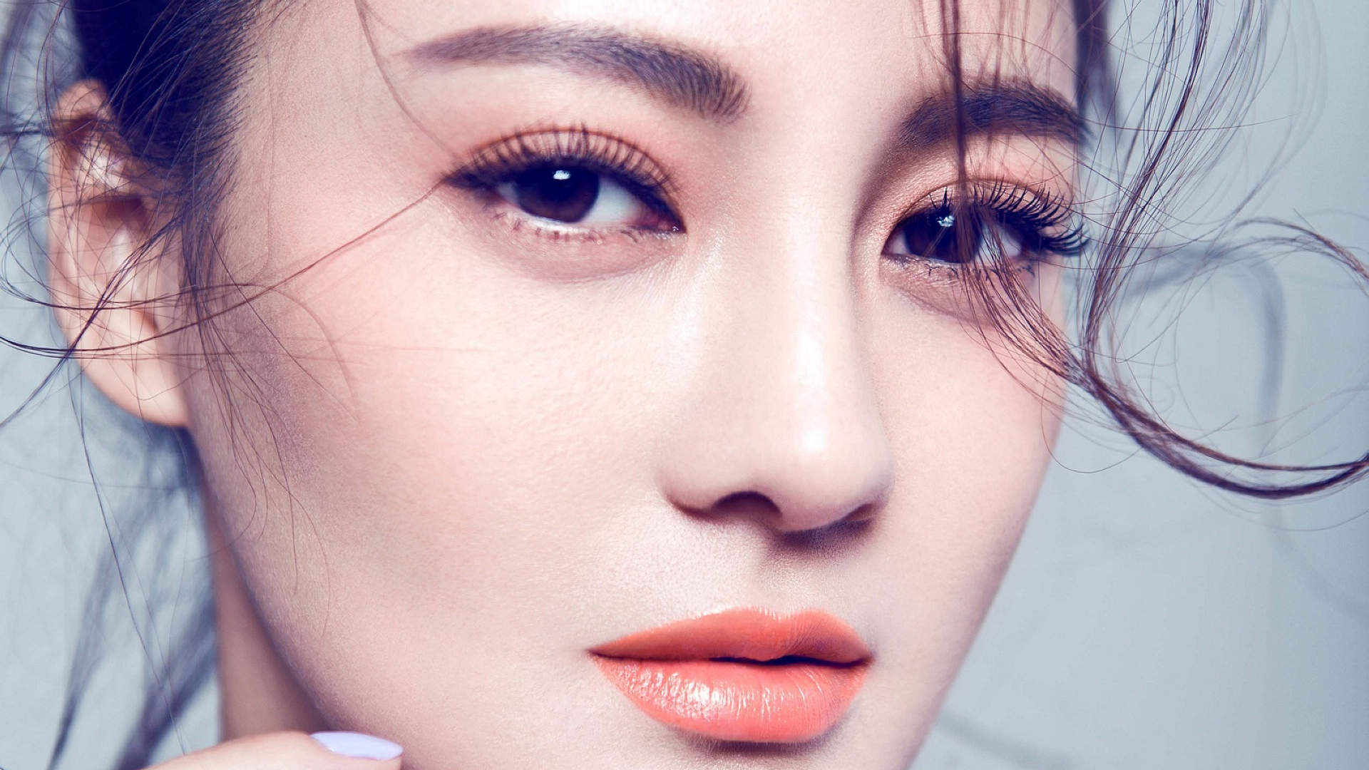 内地著名演员樊蕊高清气质唯美写真图片合集桌面壁纸第三辑图片