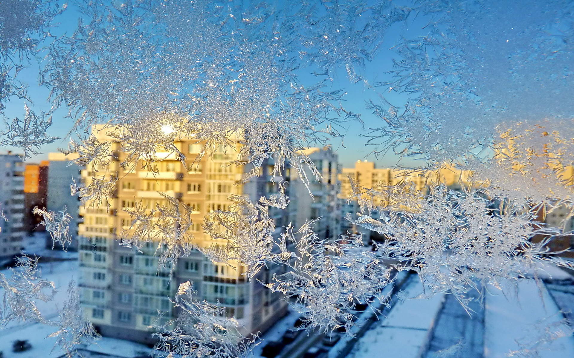 下雪图片