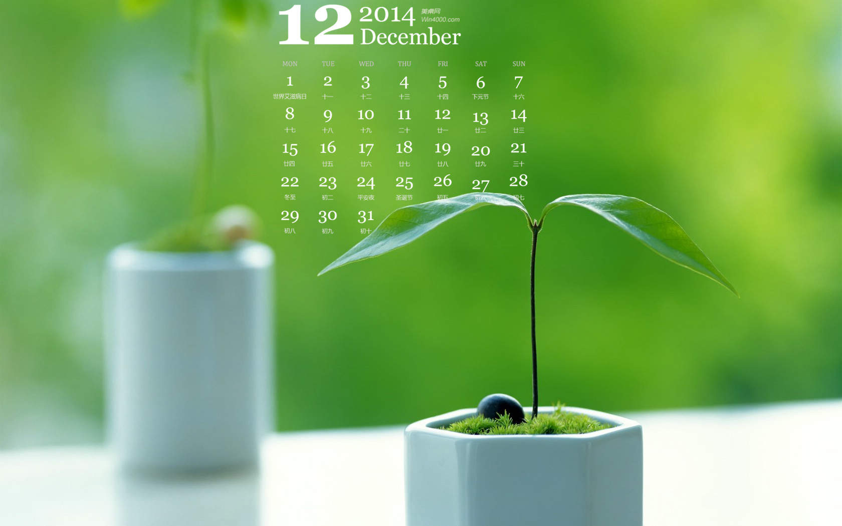 2016年8月日历盆栽风景桌面壁纸第一辑图片