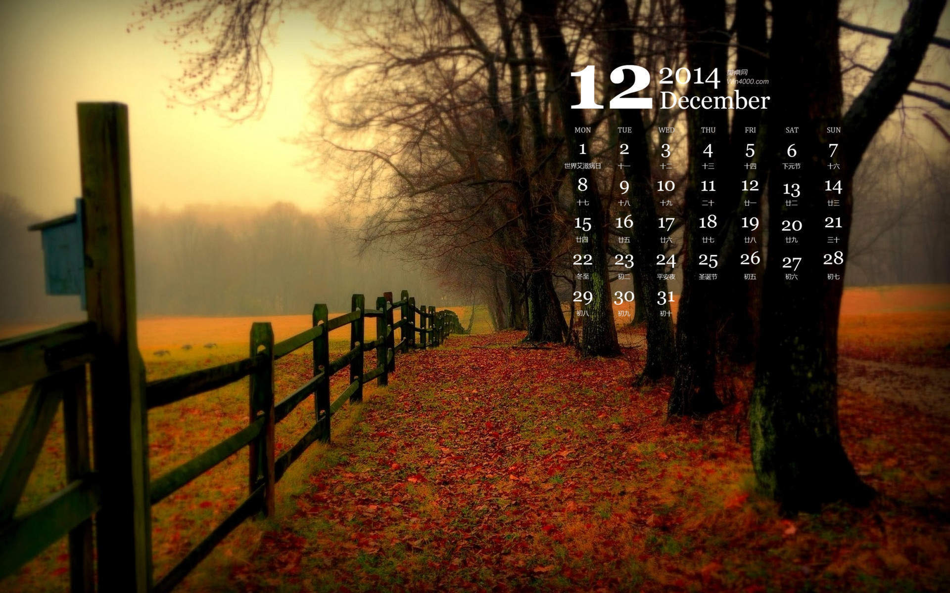 2014年12月日历壁纸秋高气爽唯美好看的秋天森林美景图集图片