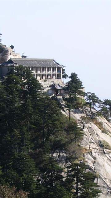 高清唯美清新绿色草地图片手机壁纸图片