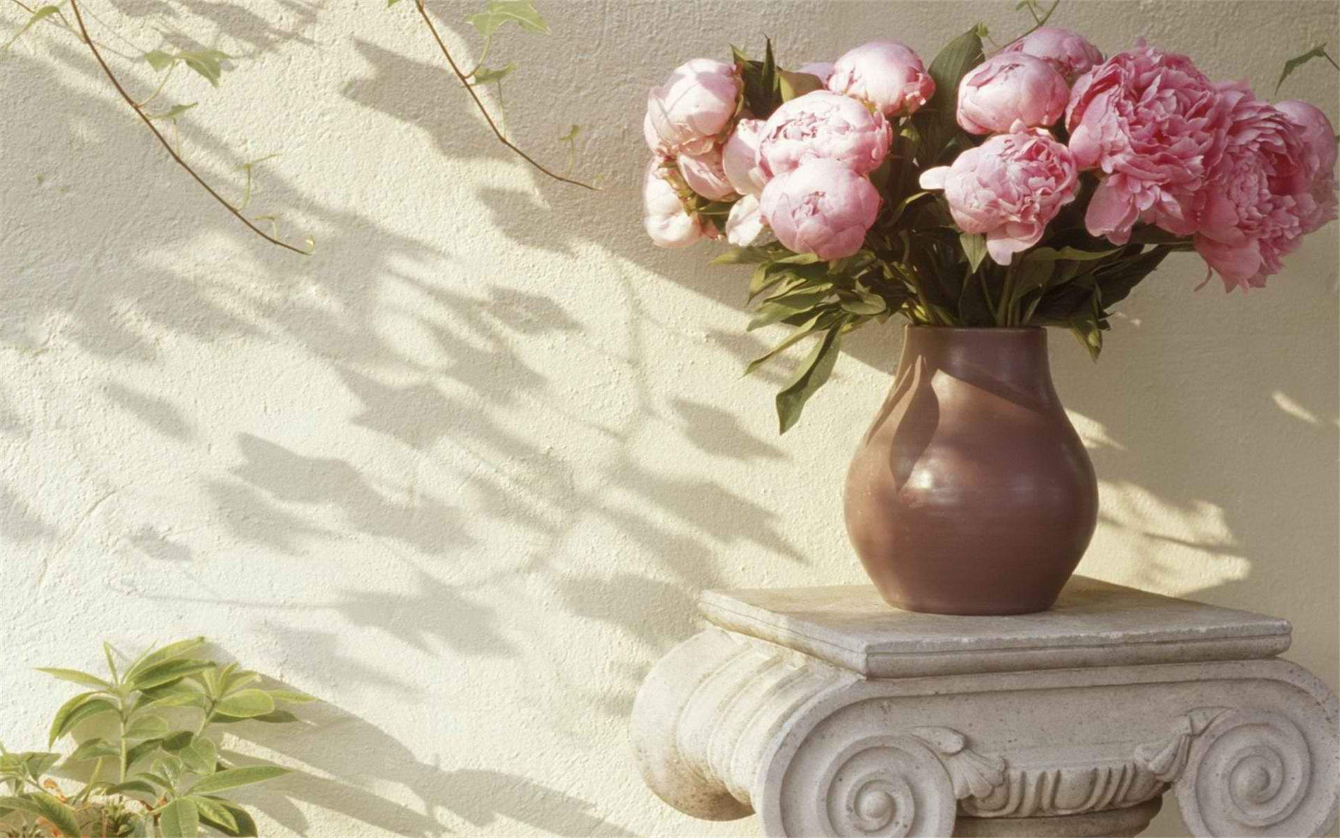 极简小清新素雅花朵花瓶盆栽唯美意境桌面壁纸第一辑图片