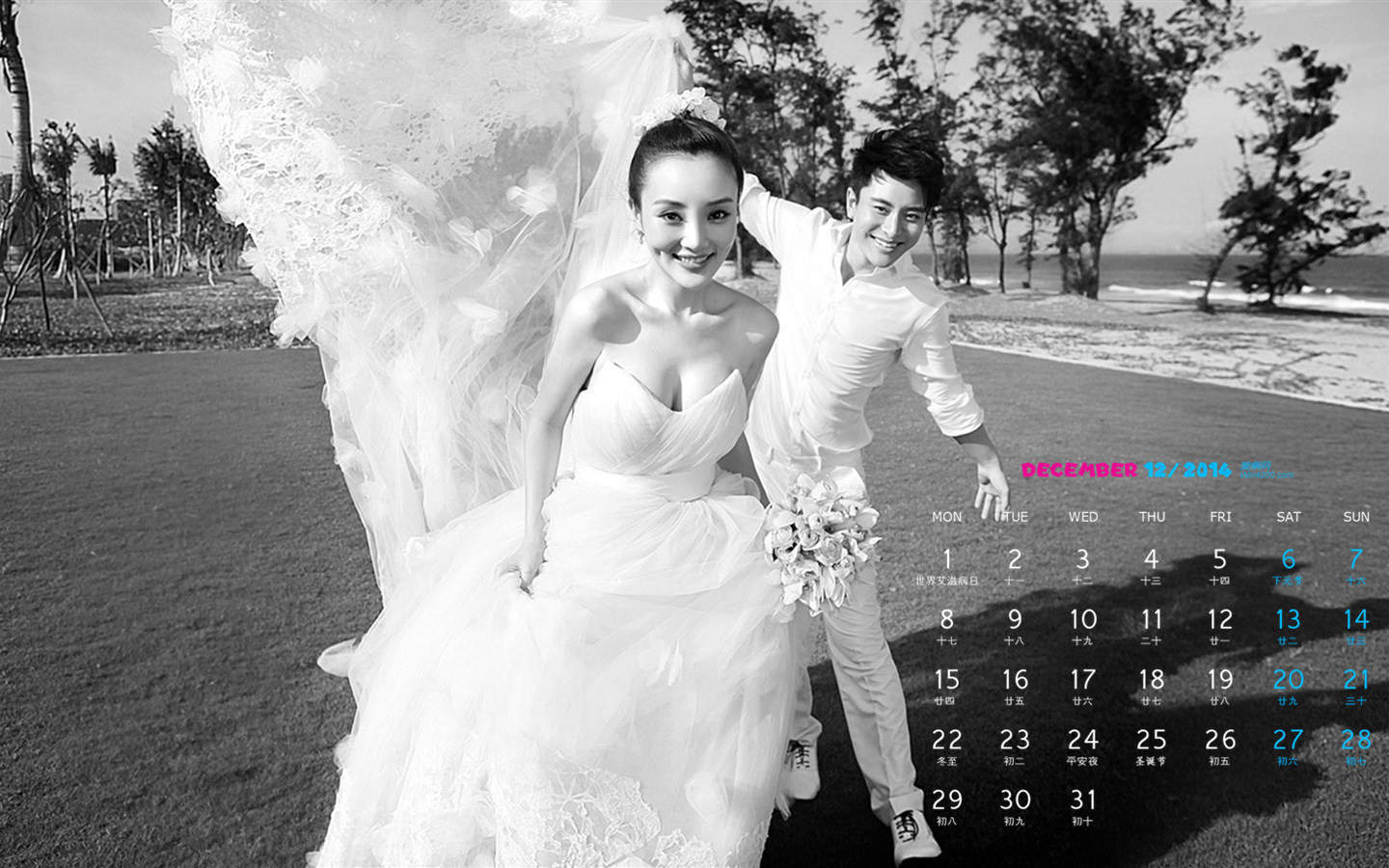 包贝尔搞怪婚纱照图片电脑桌面壁纸下载图片
