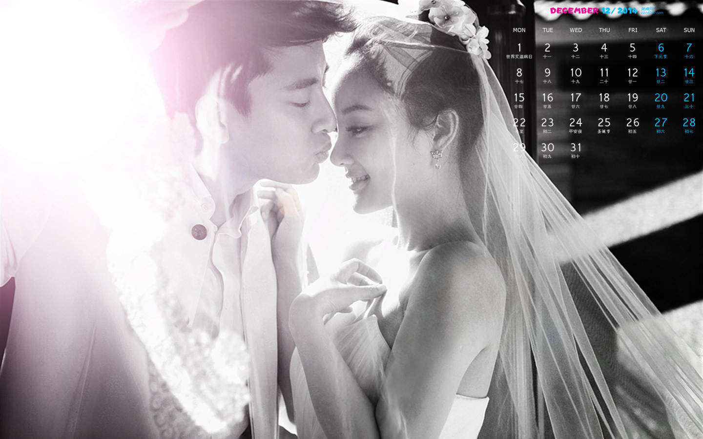 包贝尔搞怪婚纱照图片电脑桌面壁纸下载图片